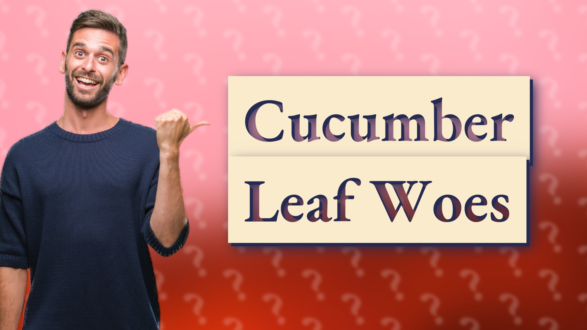 Cucumber Leaf Woes