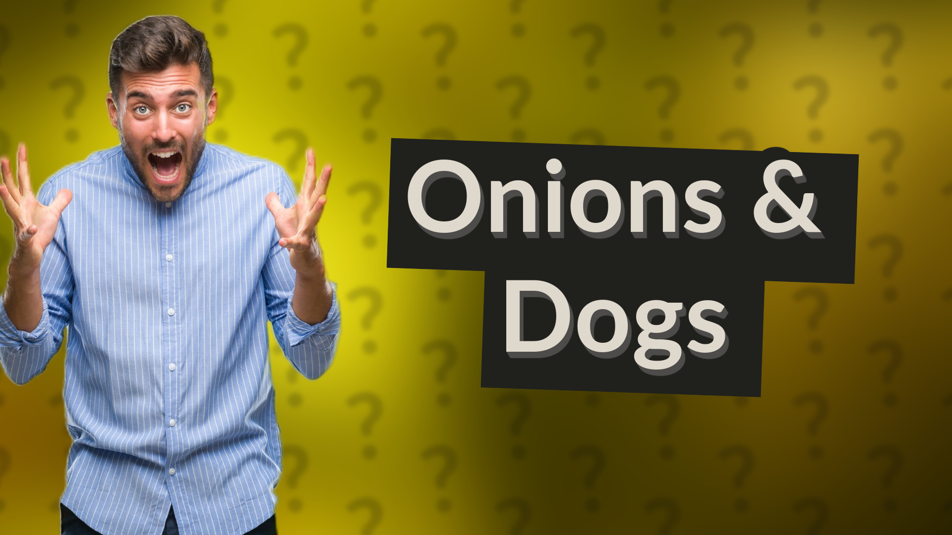 Onions & Dogs