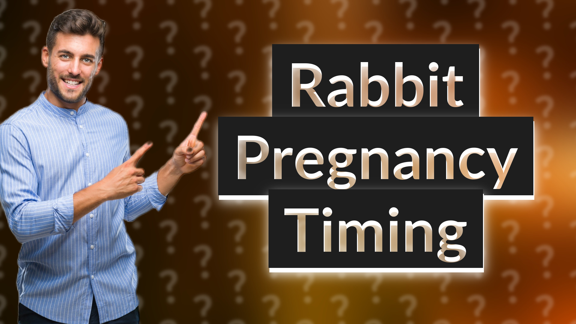 Rabbit Pregnancy Timing