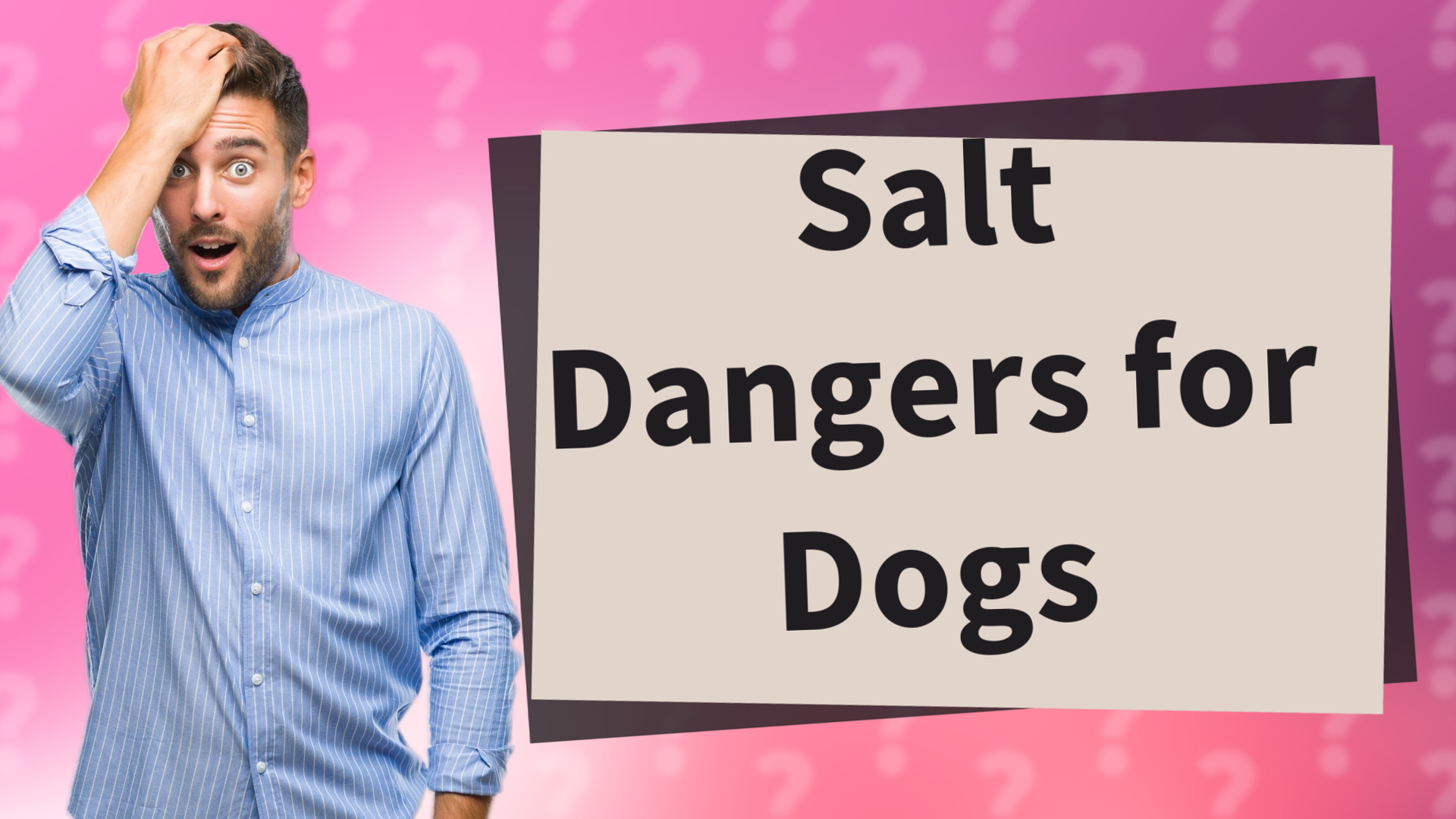 Salt Dangers for Dogs