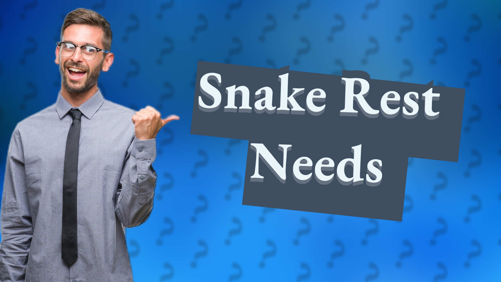 Snake Rest Needs