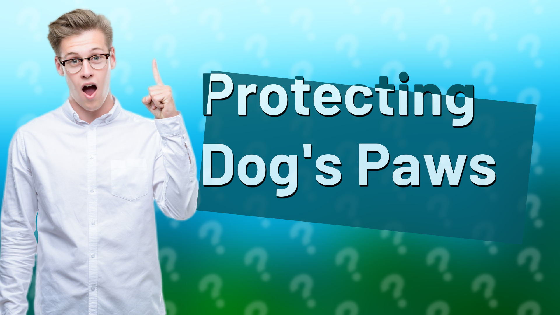 Protecting Dog's Paws