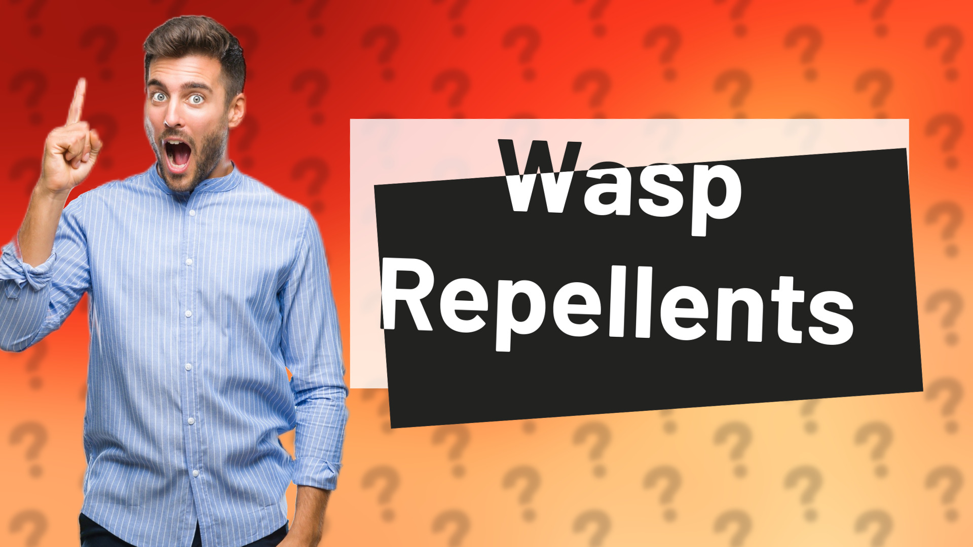Wasp Repellents