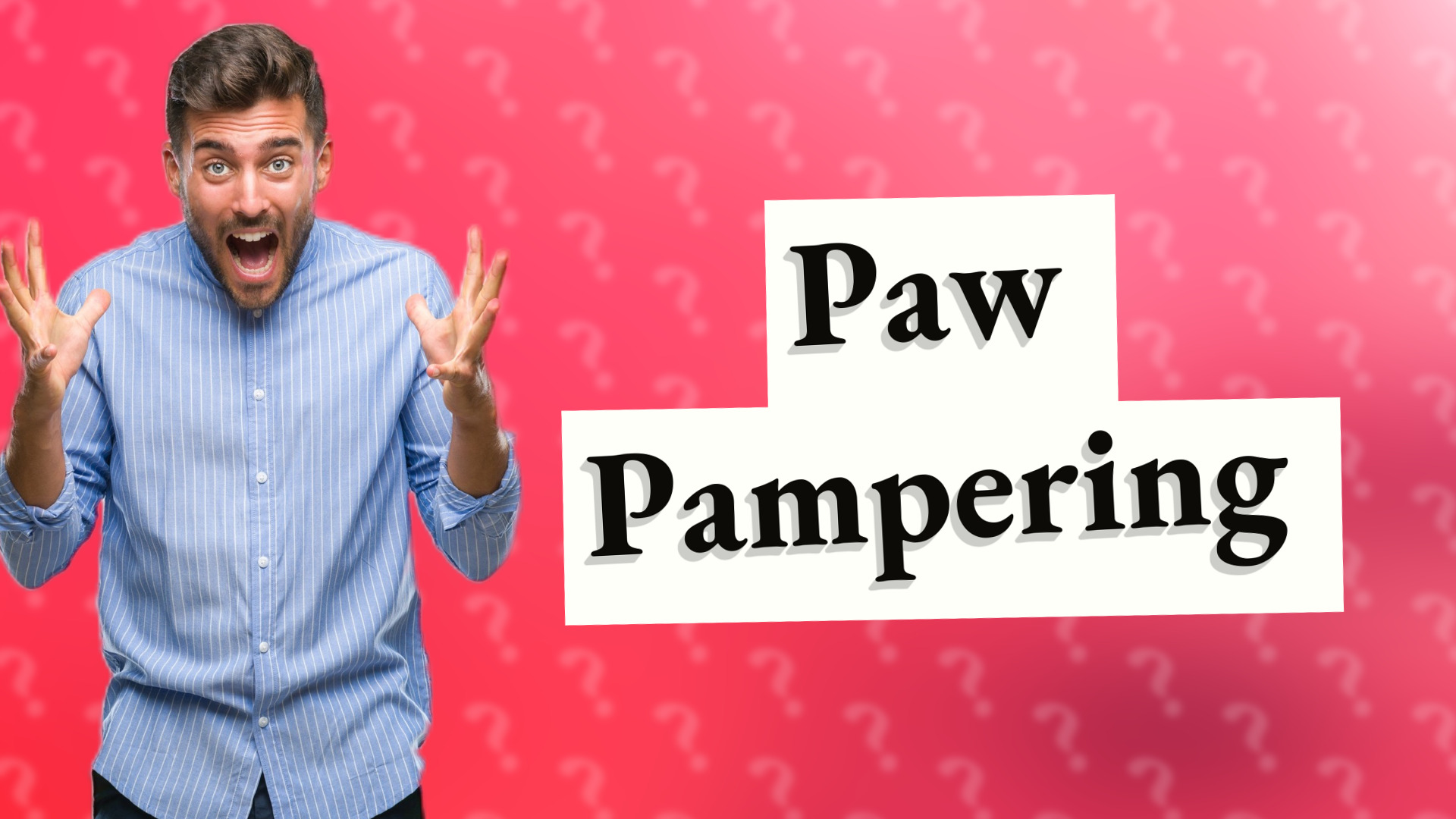 Paw Pampering