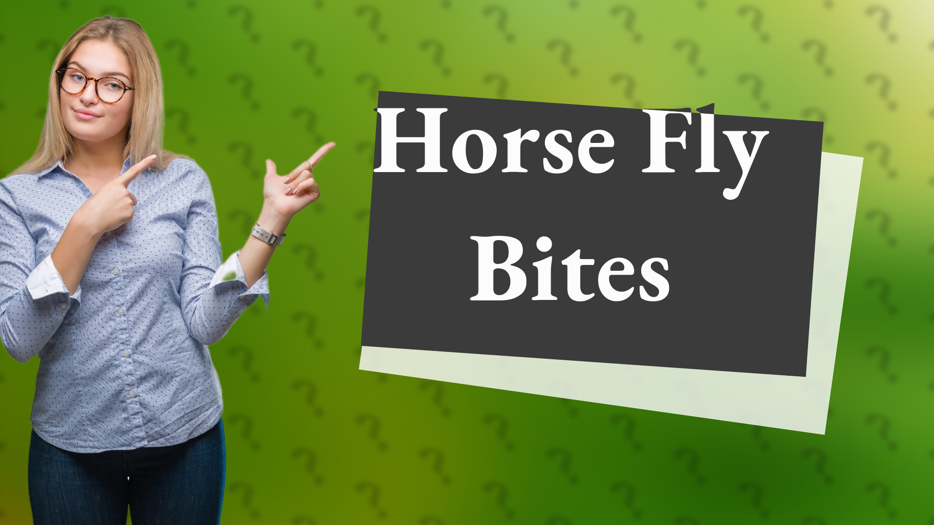 Horse Fly Bites