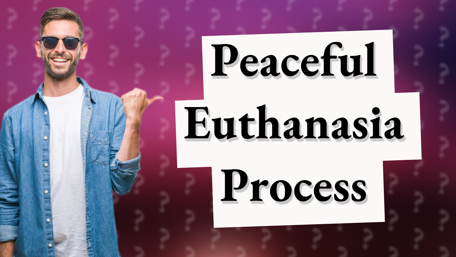 Peaceful Euthanasia Process