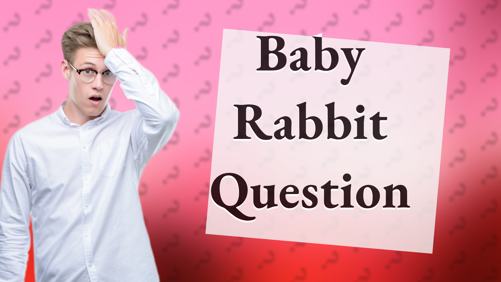 Baby Rabbit Question