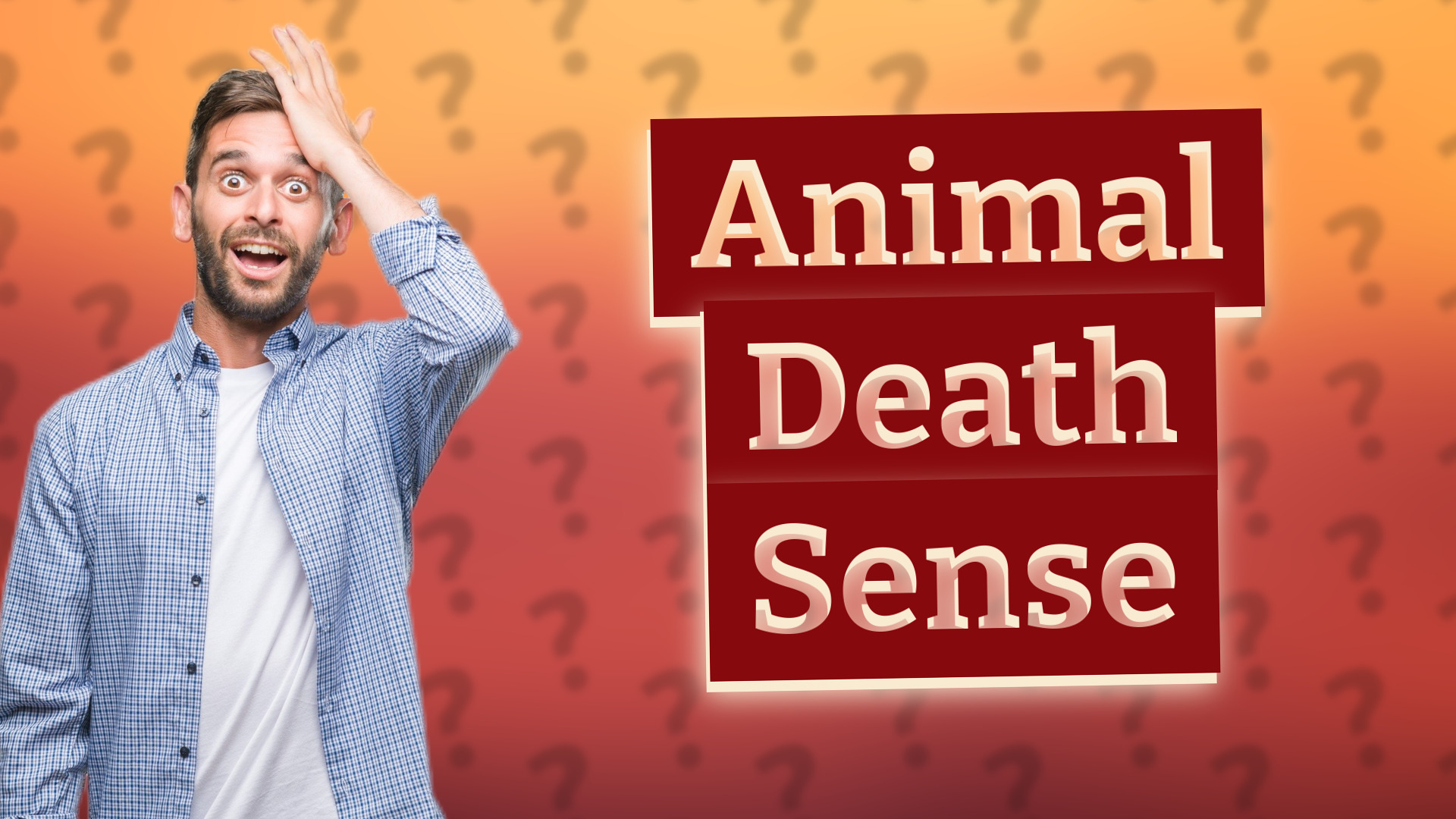Animal Death Sense