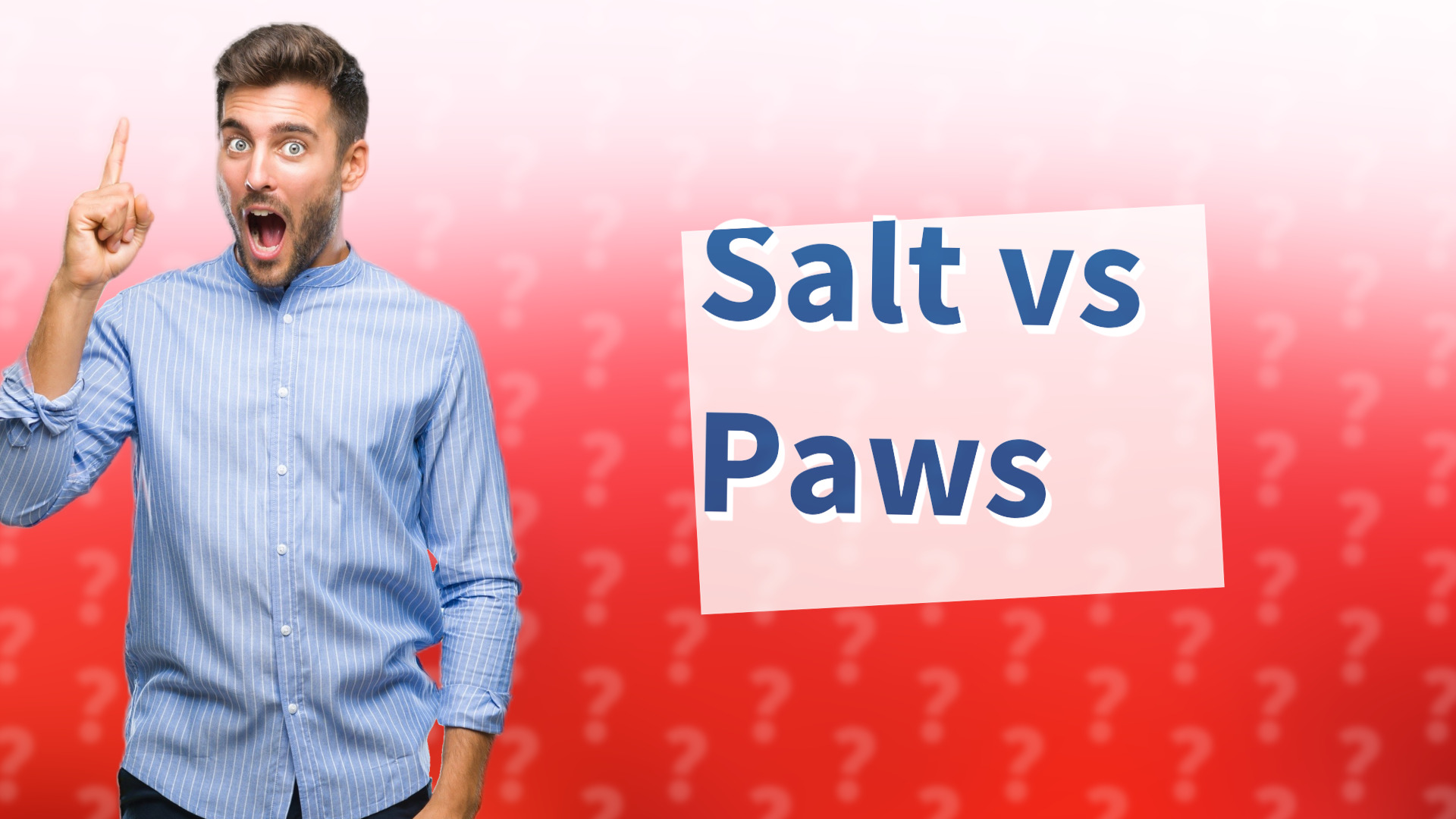 Salt vs Paws