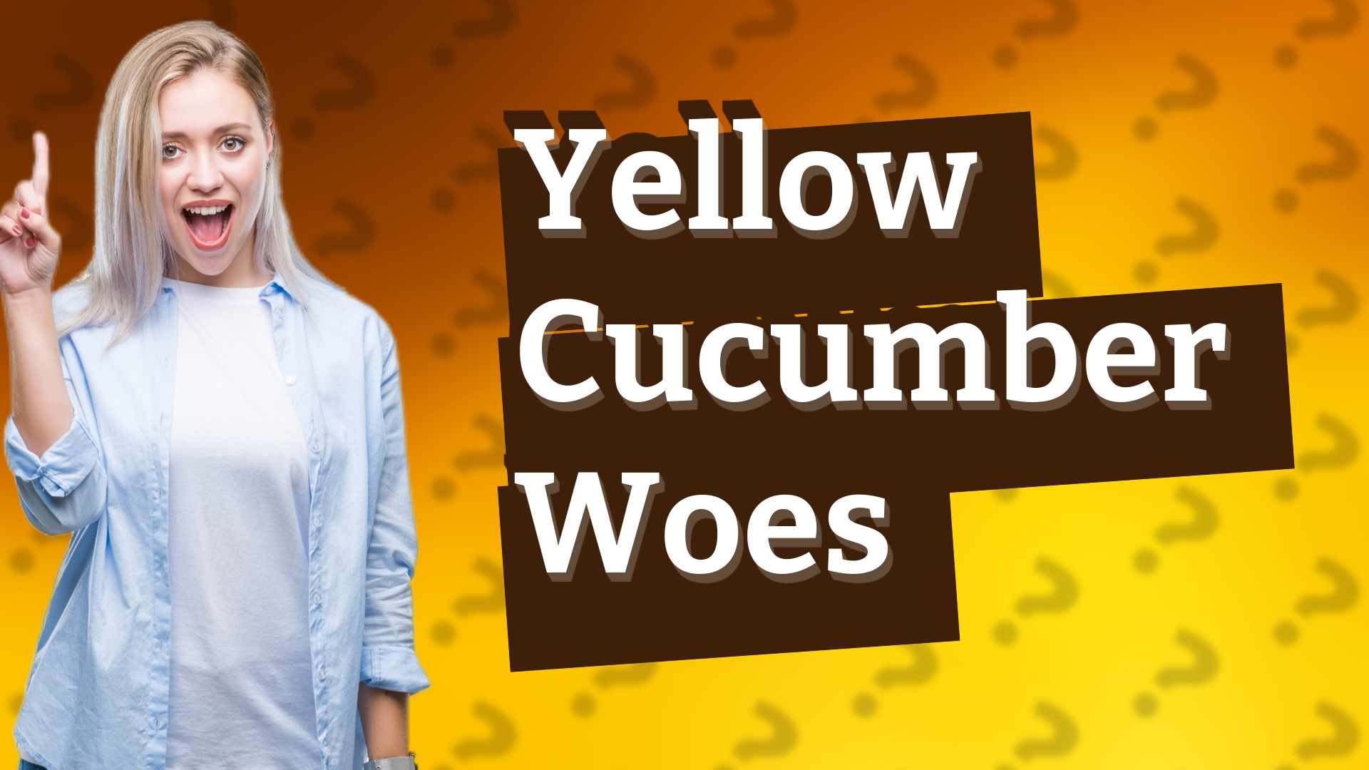 Yellow Cucumber Woes