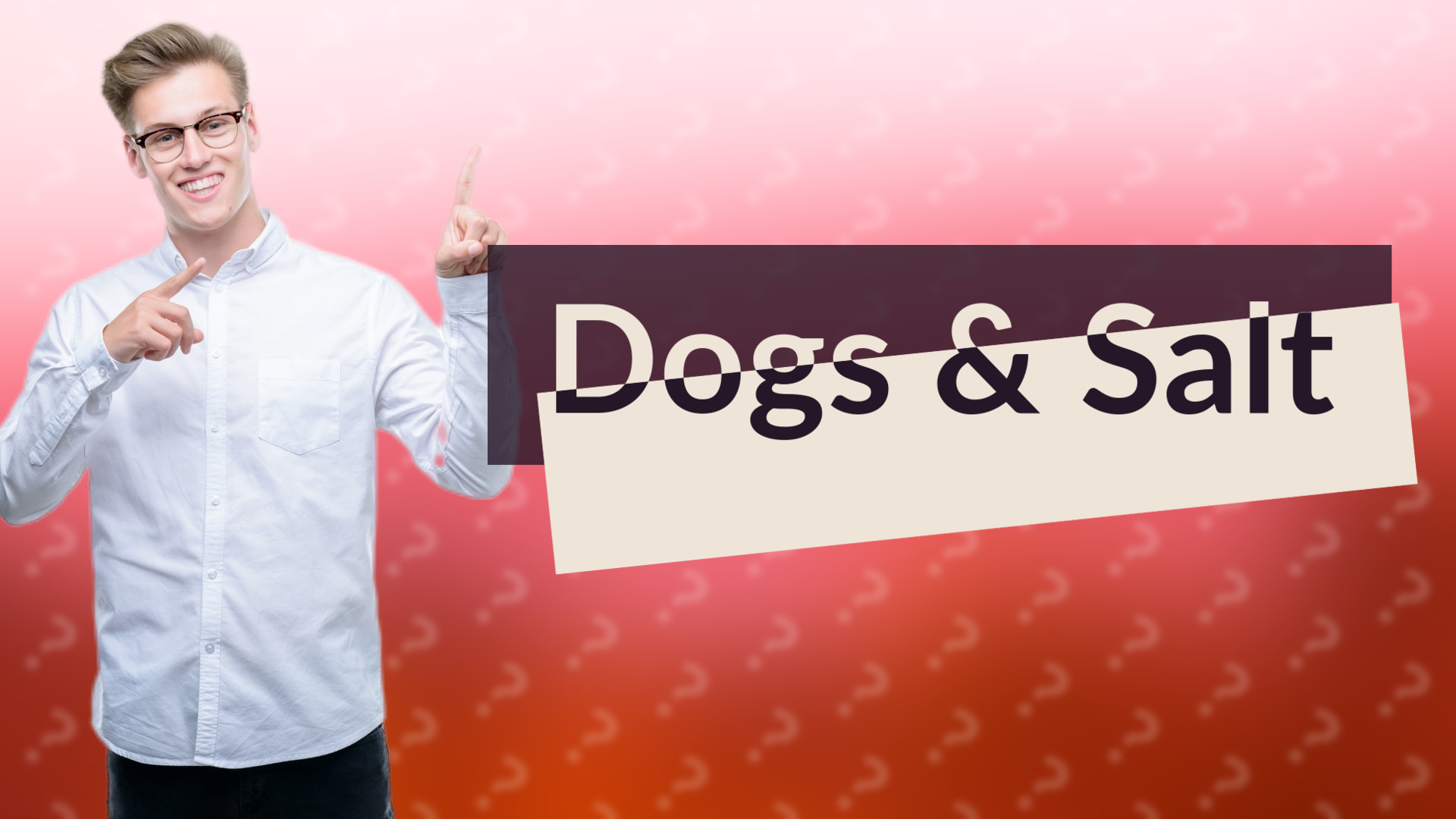 Dogs & Salt