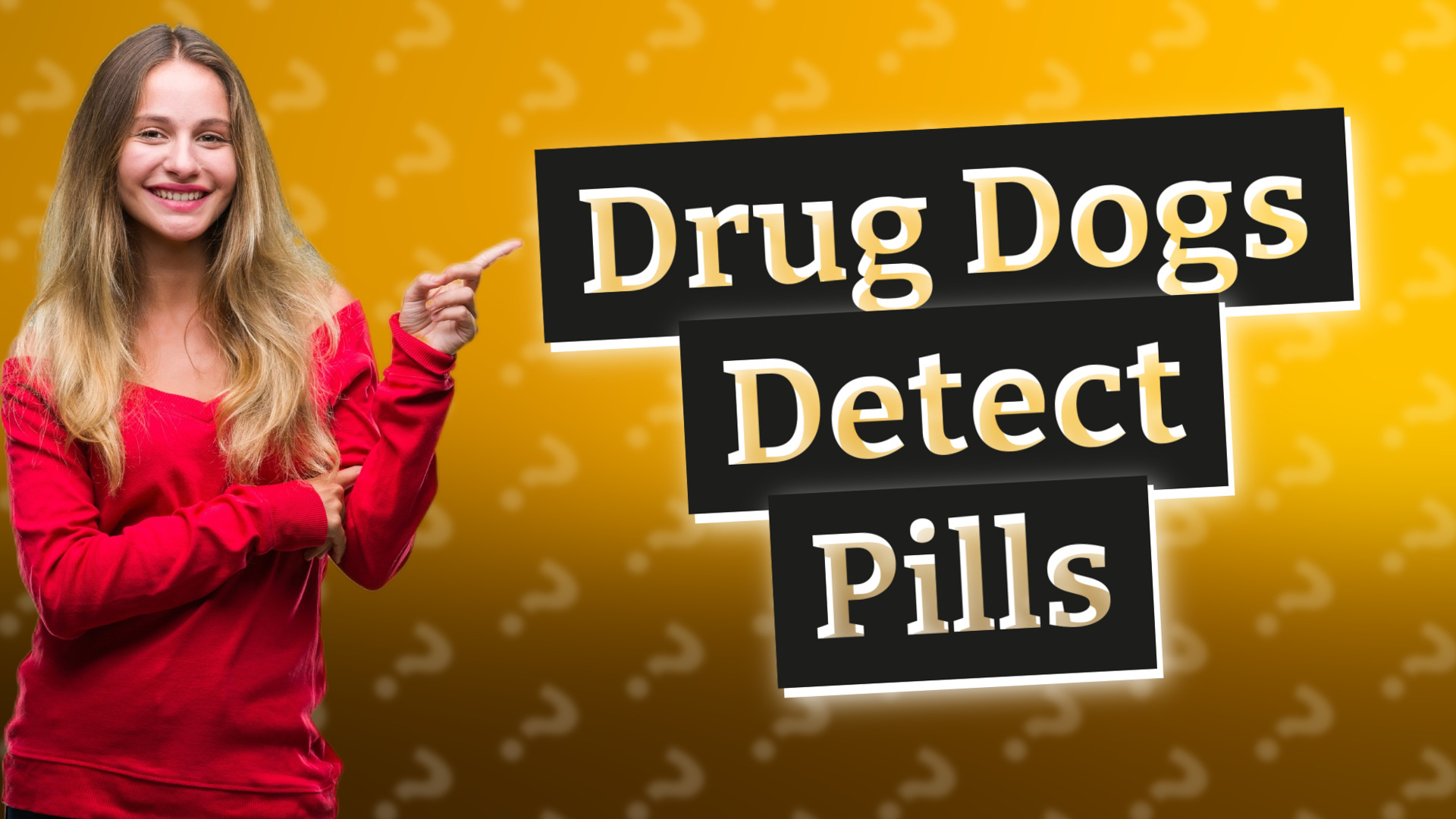 Drug Dogs Detect Pills