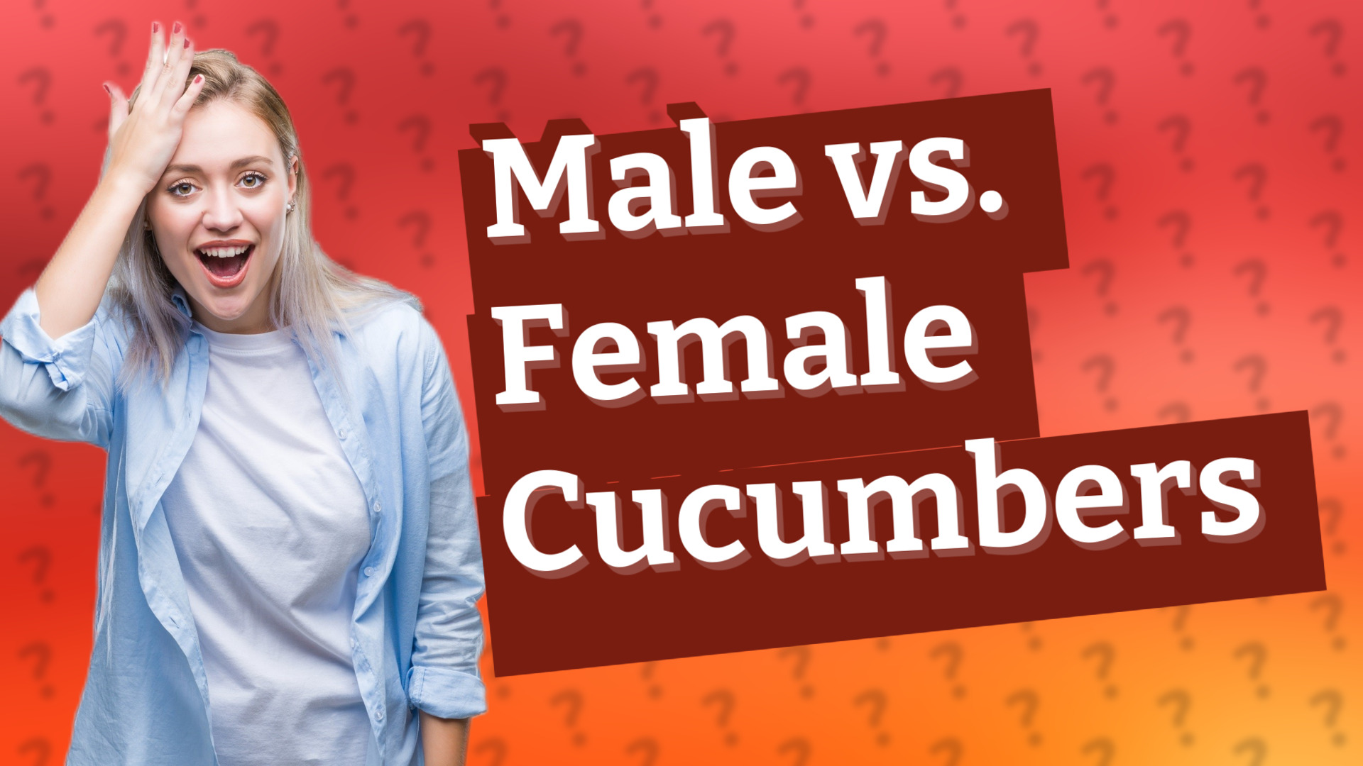Male vs. Female Cucumbers