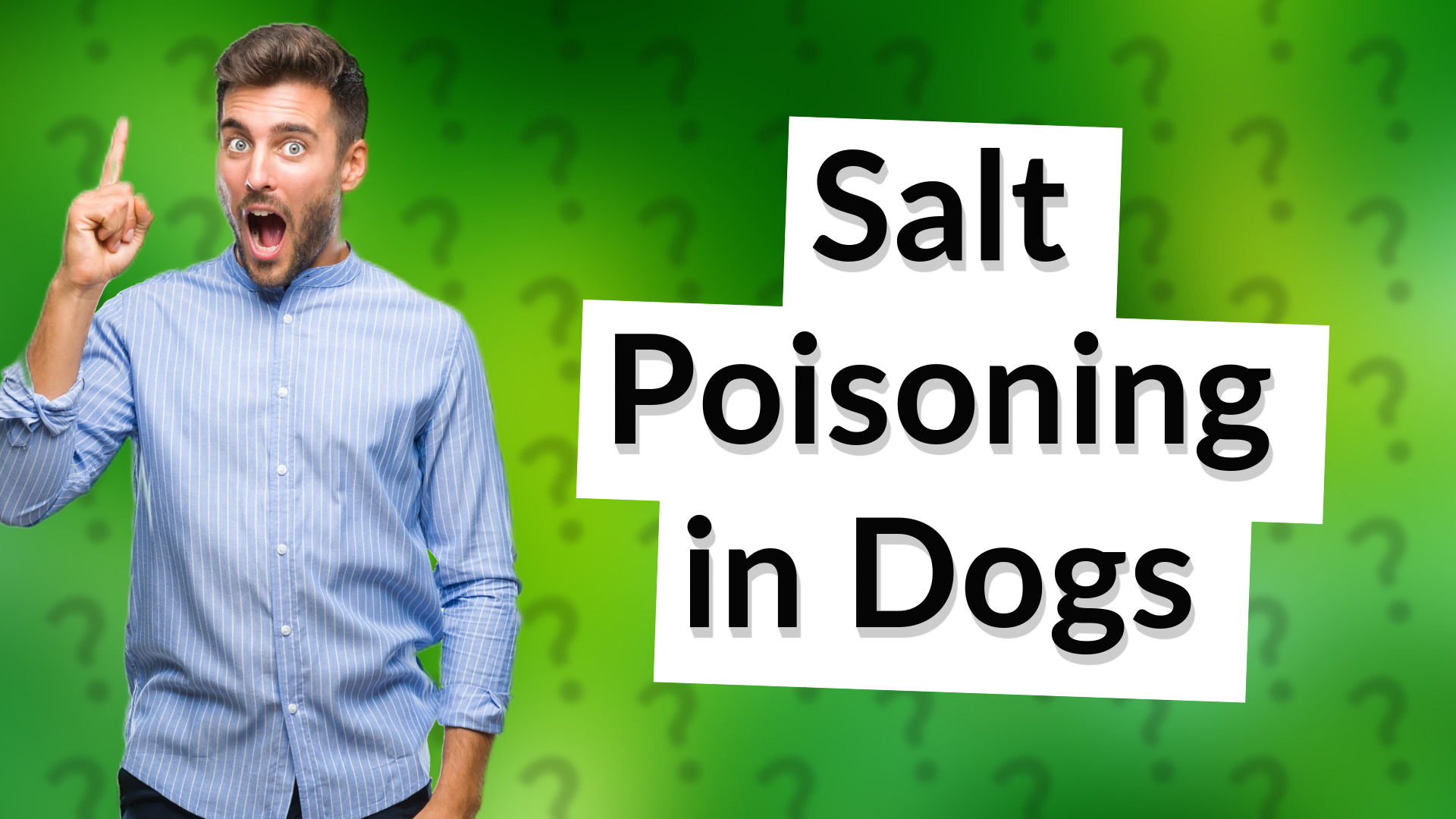 Salt Poisoning in Dogs