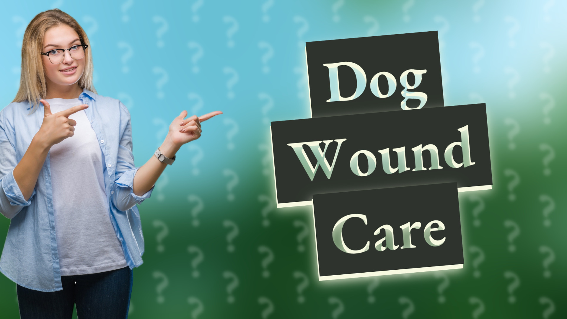Dog Wound Care