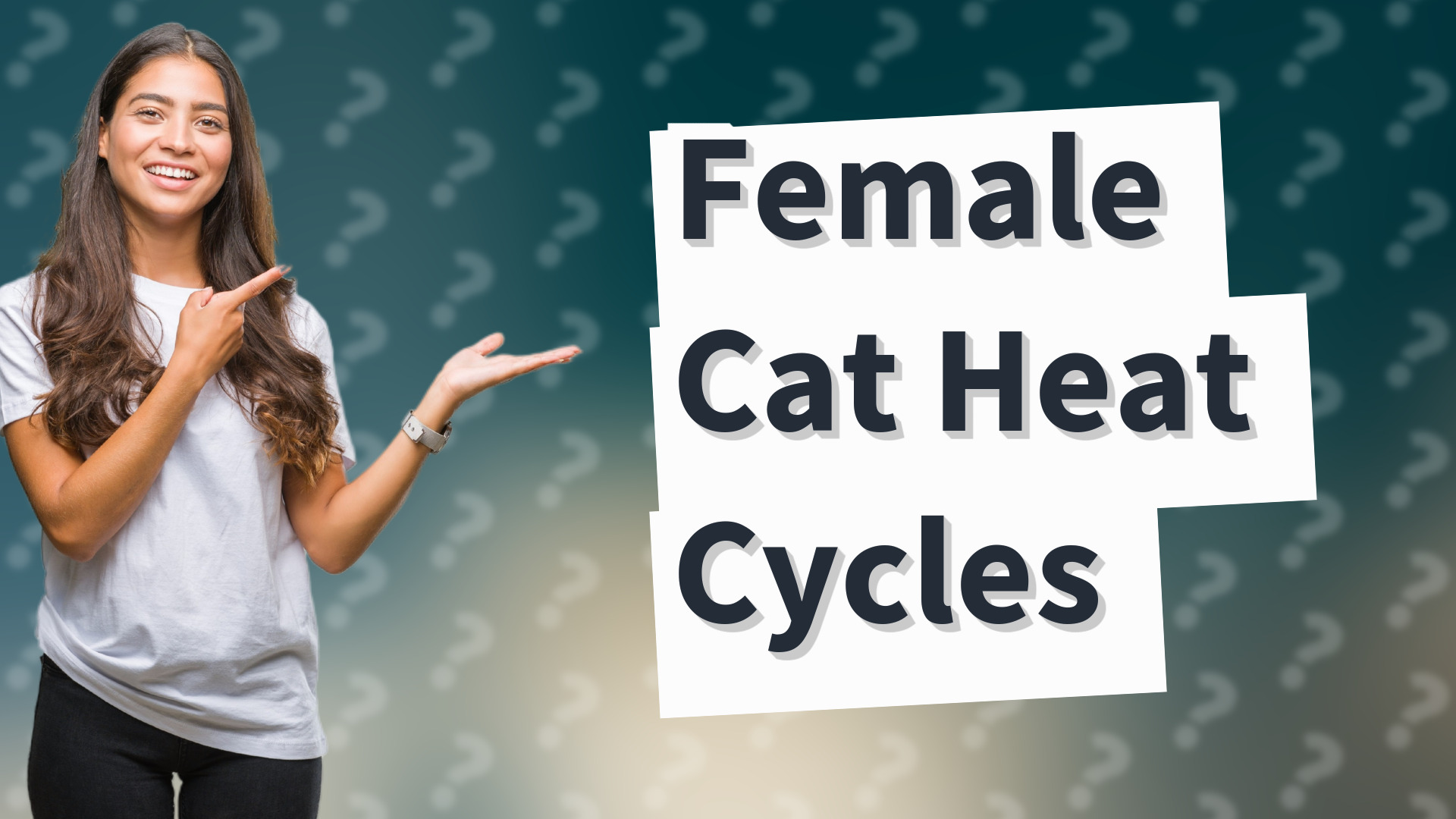 Female Cat Heat Cycles