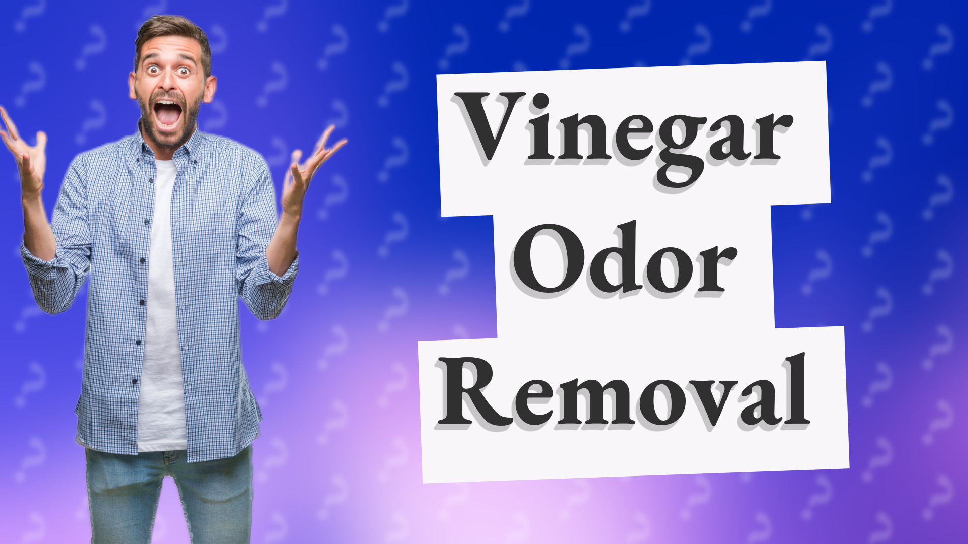 Vinegar Odor Removal