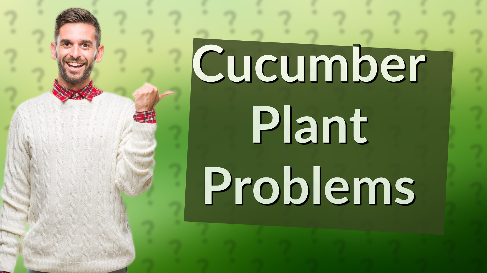 Cucumber Plant Problems