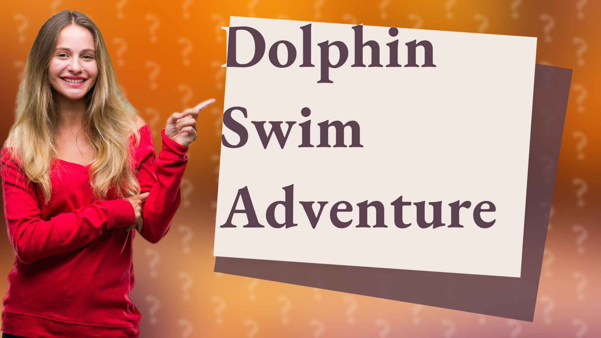 Dolphin Swim Adventure