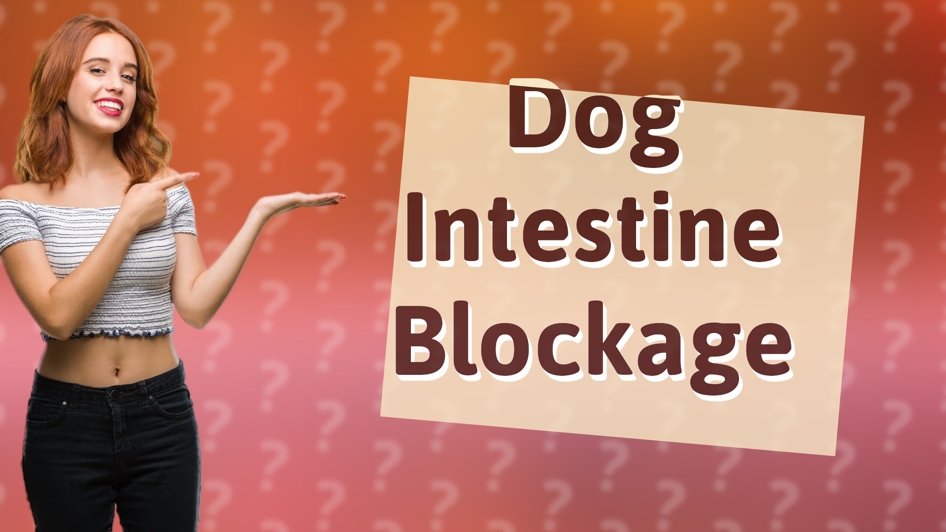 Dog Intestine Blockage