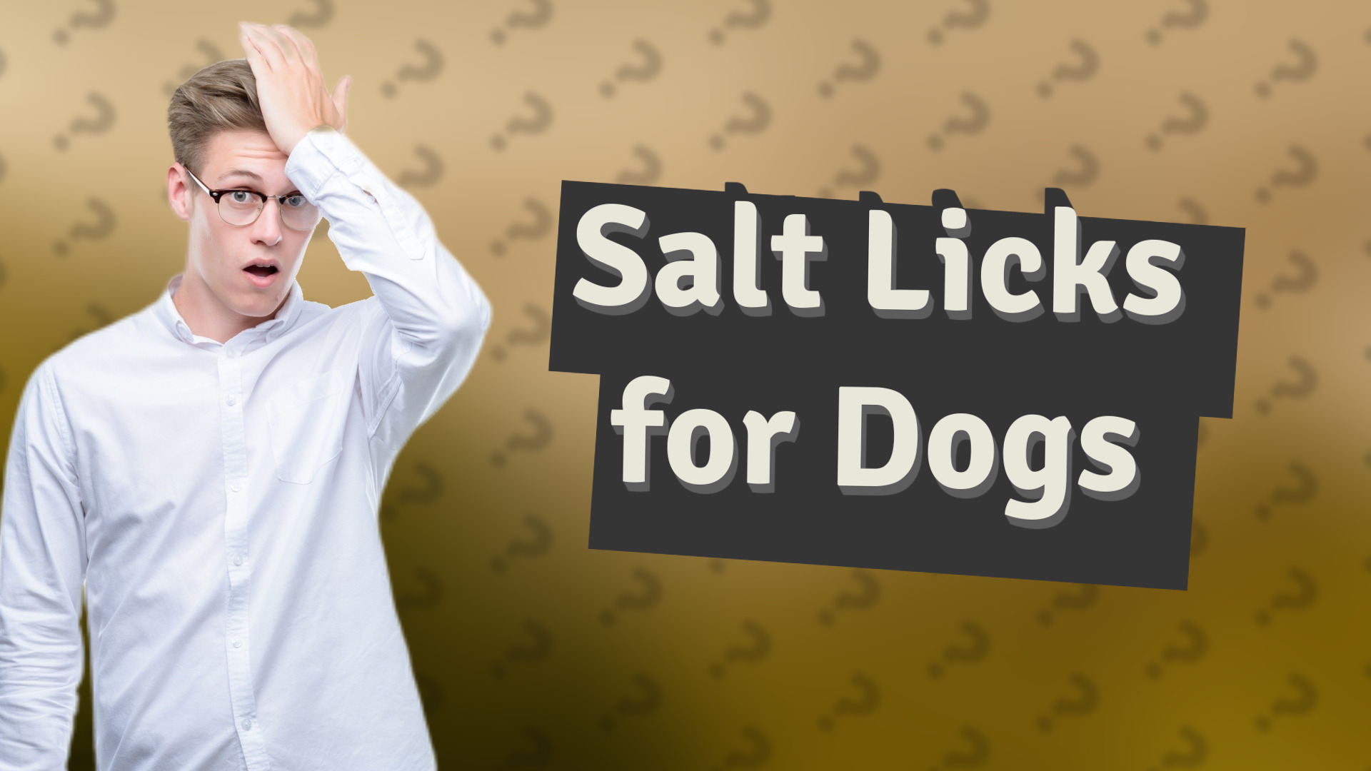 Salt Licks for Dogs