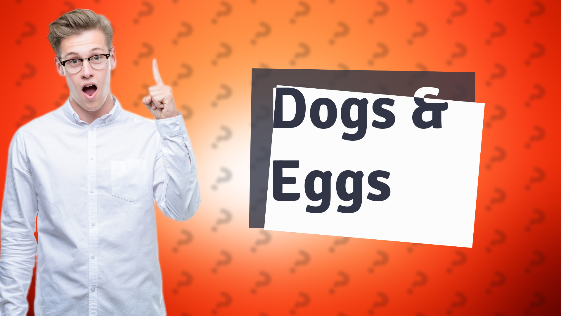 Dogs & Eggs