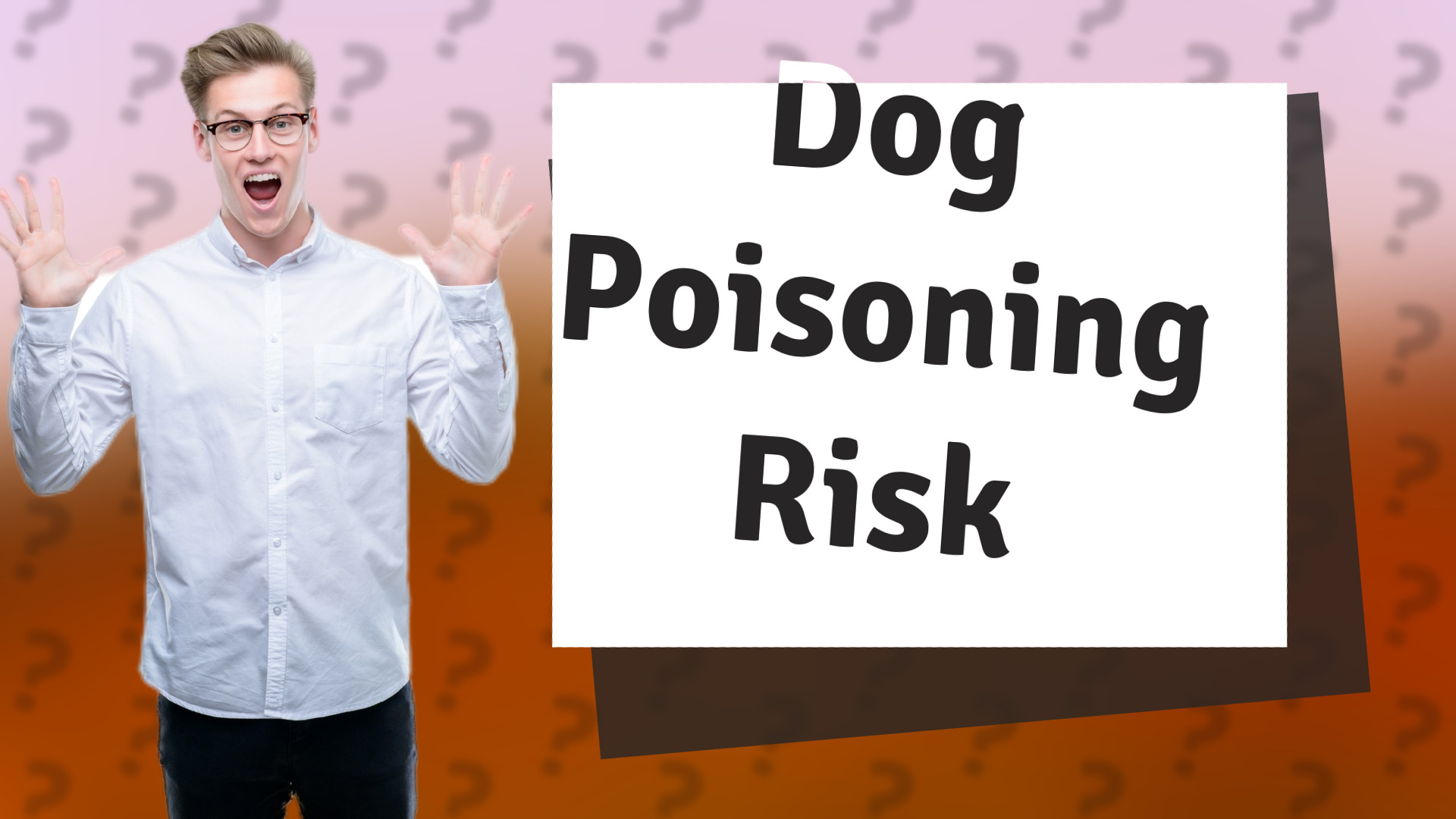 Dog Poisoning Risk