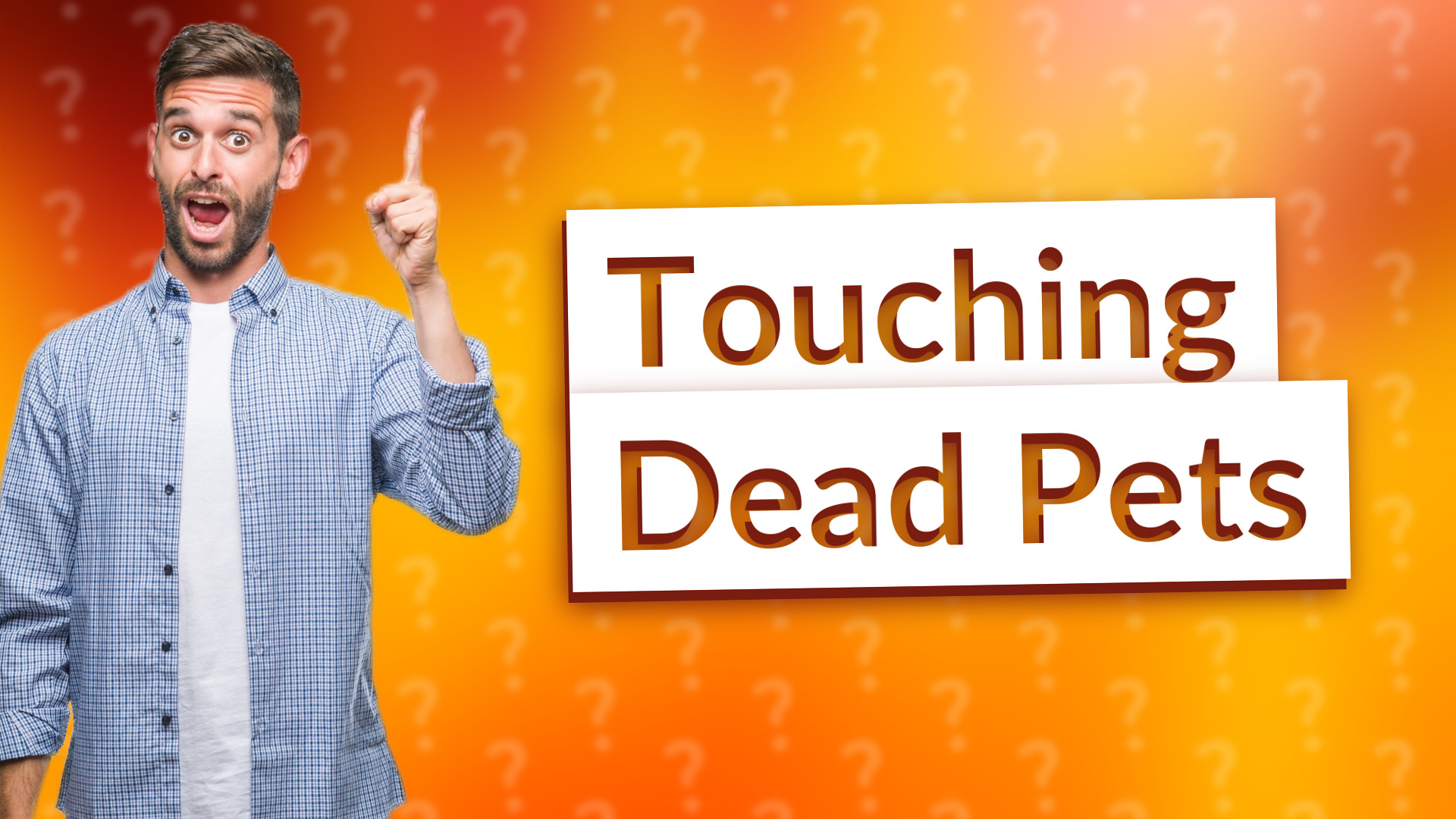 Touching Dead Pets