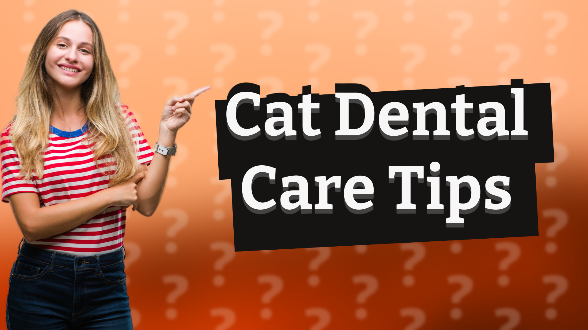 Cat Dental Care Tips
