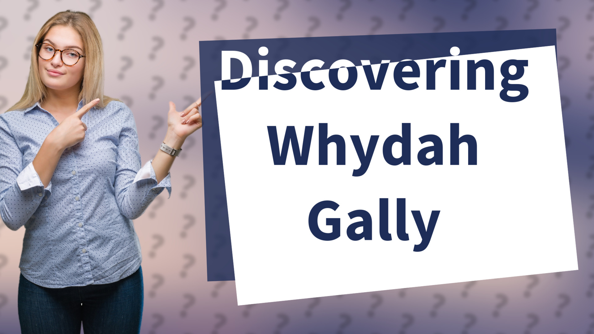 Discovering Whydah Gally