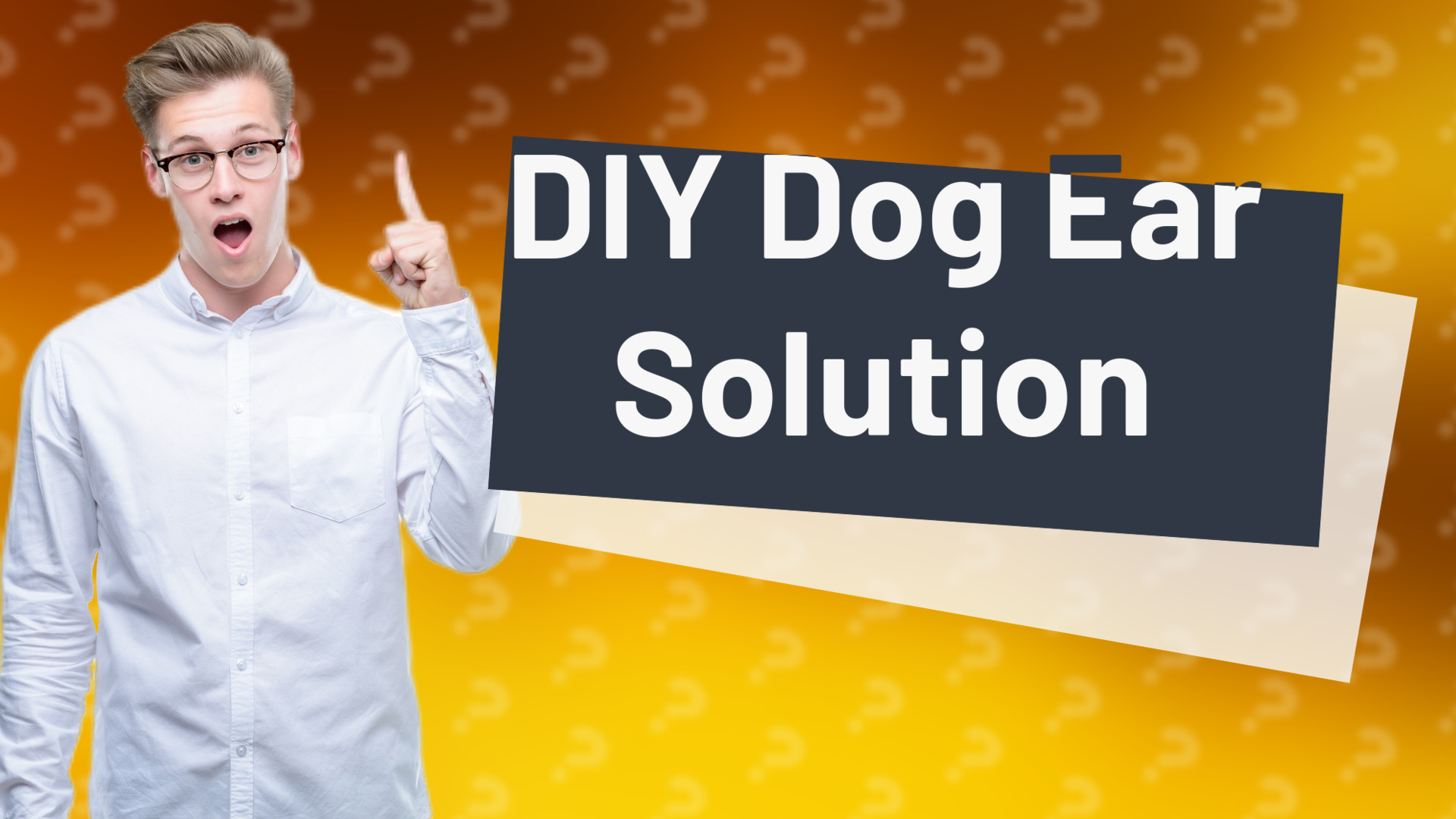 DIY Dog Ear Solution