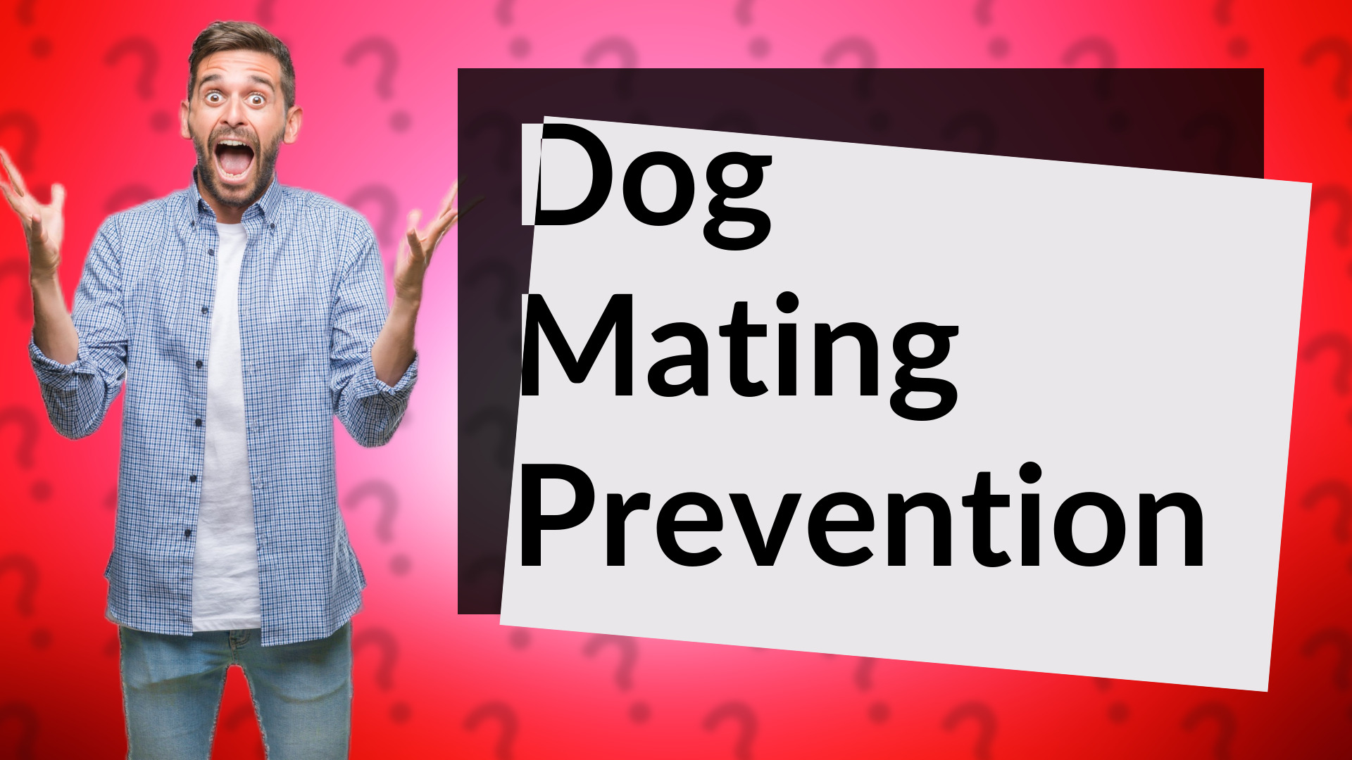 Dog Mating Prevention