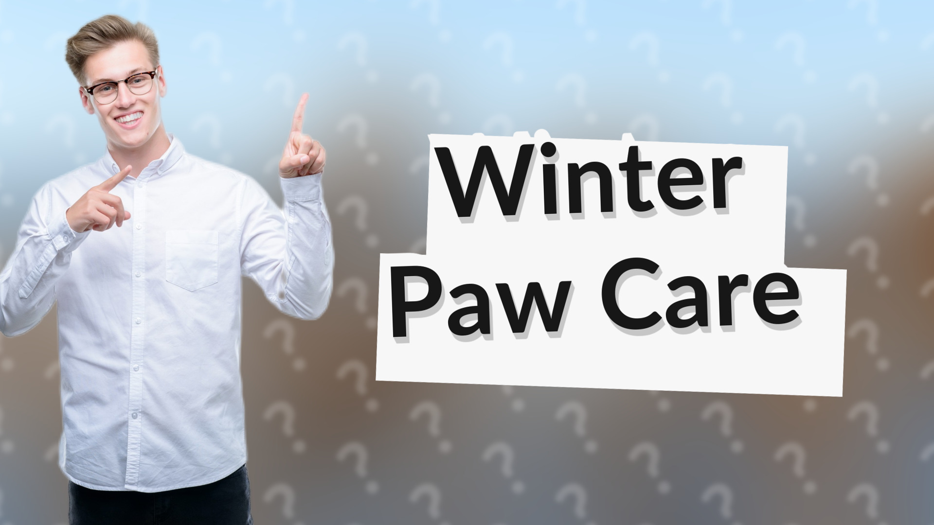 Winter Paw Care