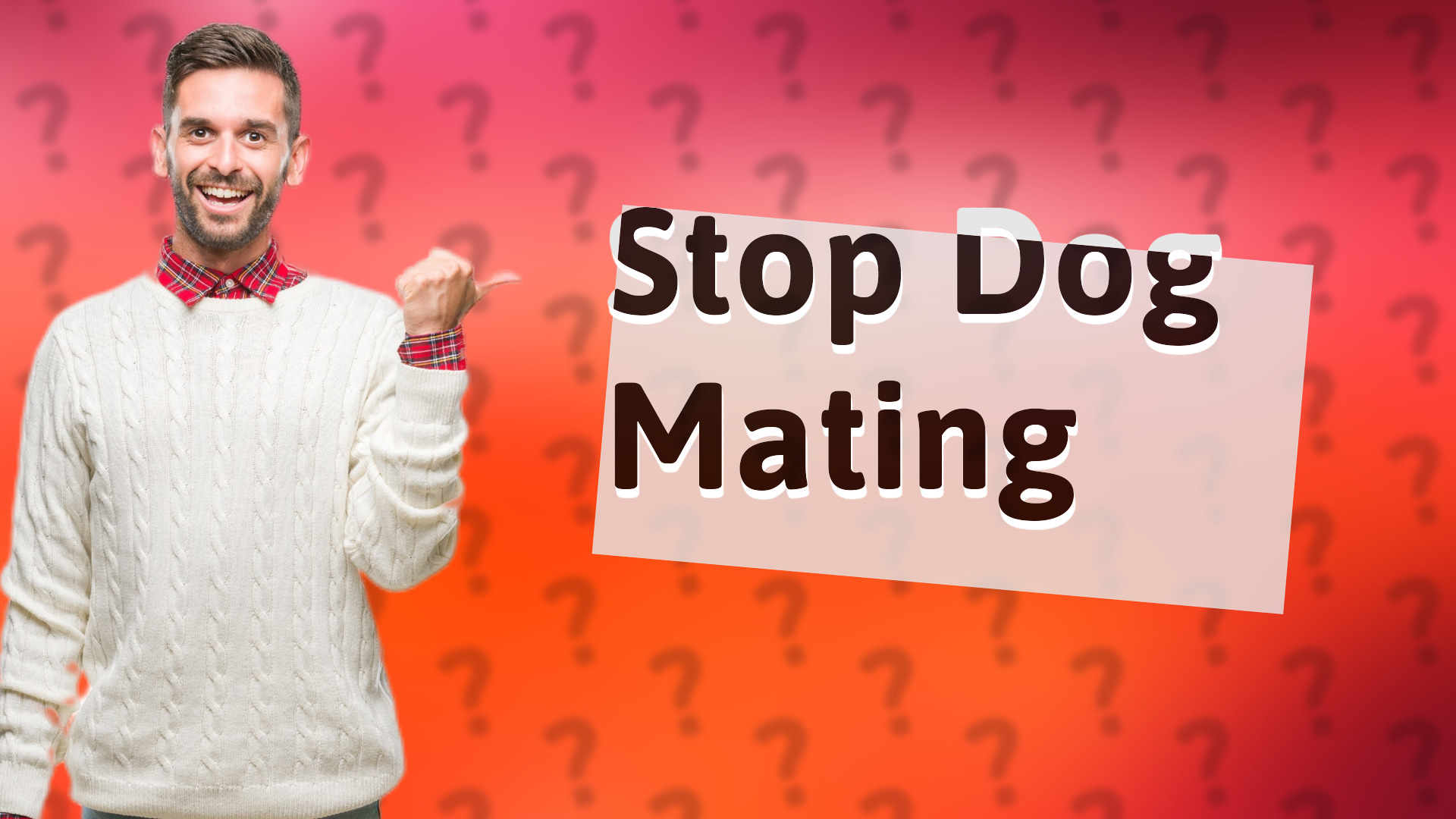 Stop Dog Mating