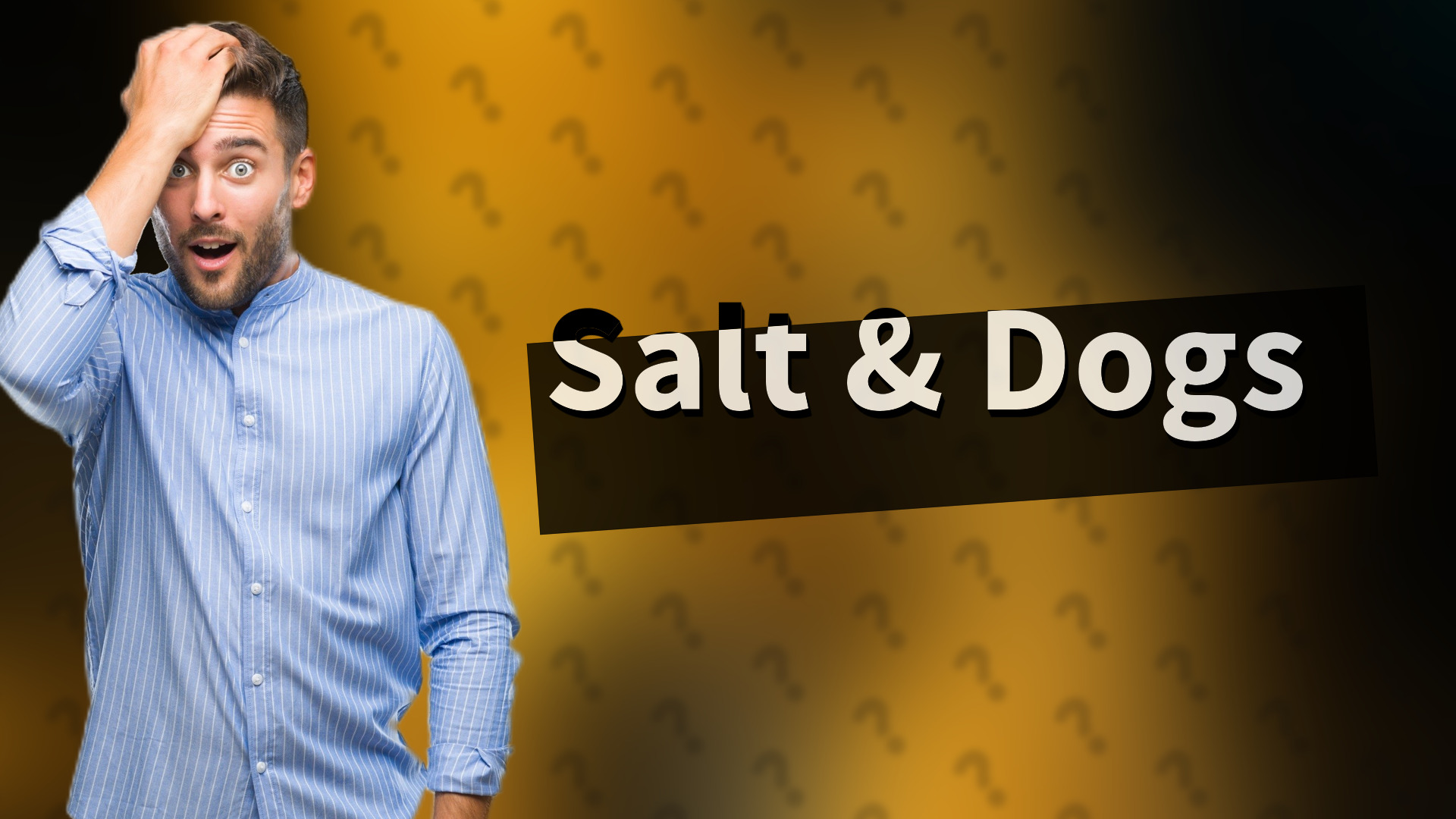 Salt & Dogs