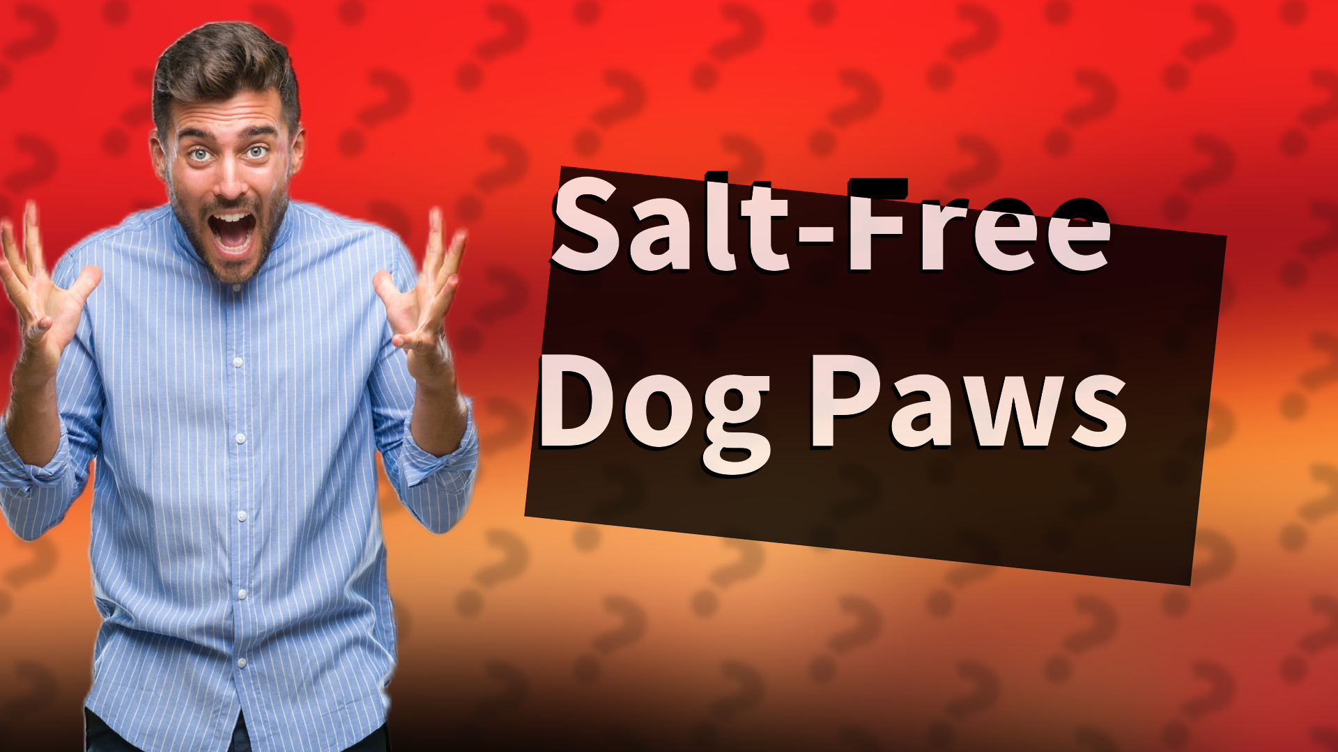 Salt-Free Dog Paws