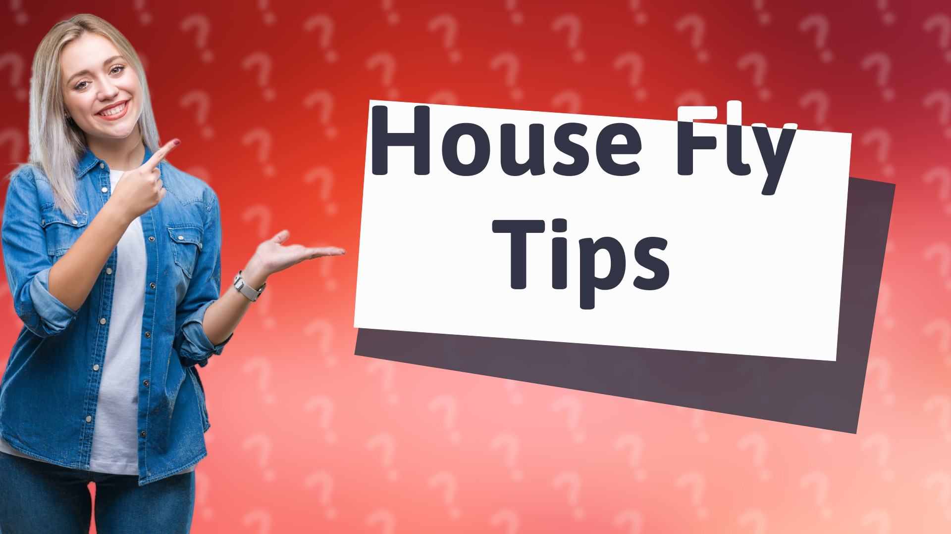 House Fly Tips