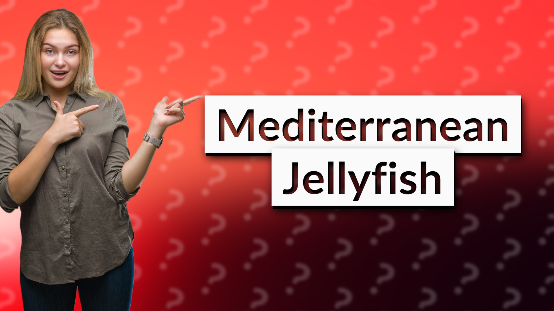 Mediterranean Jellyfish