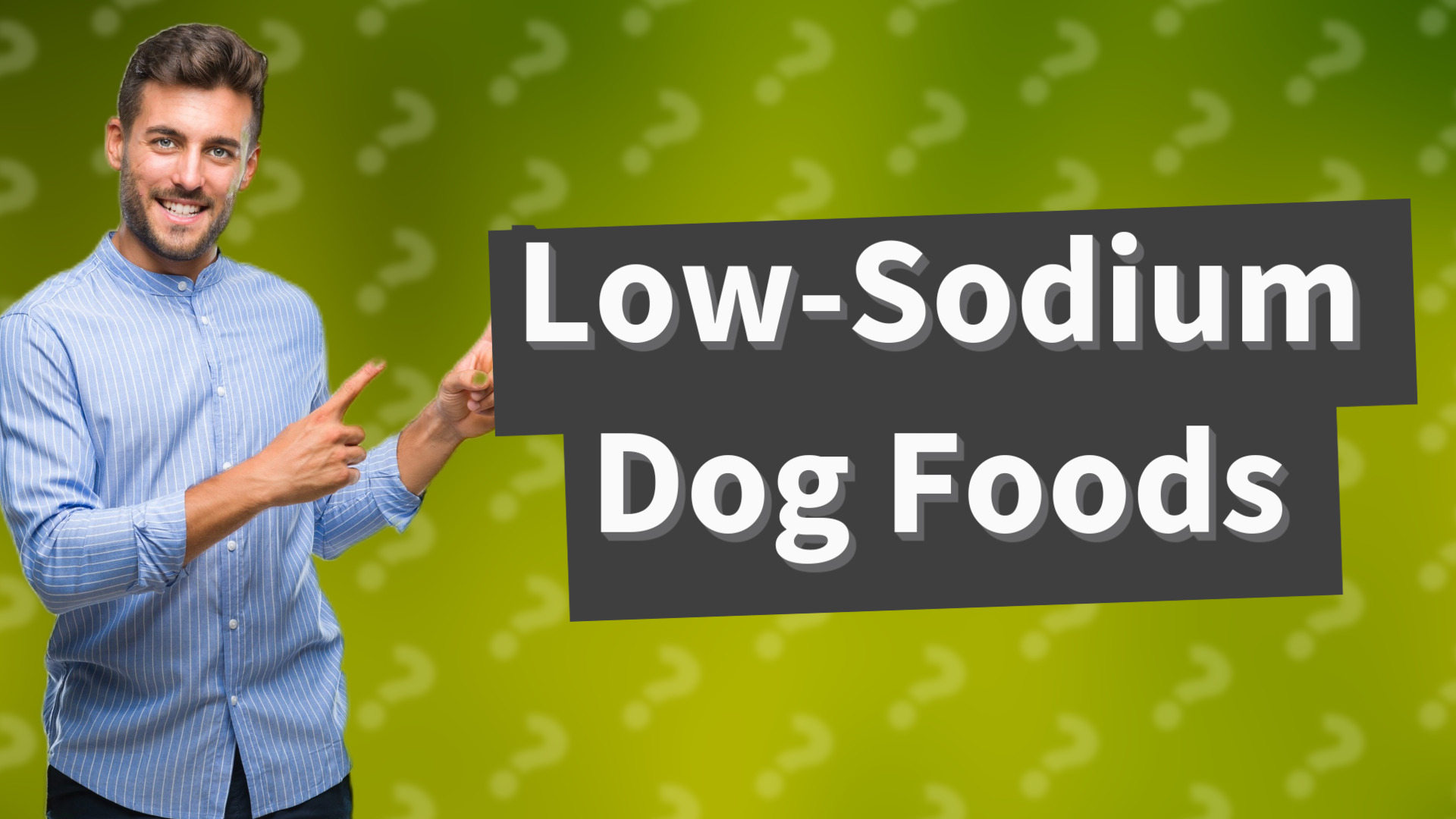 Low-Sodium Dog Foods