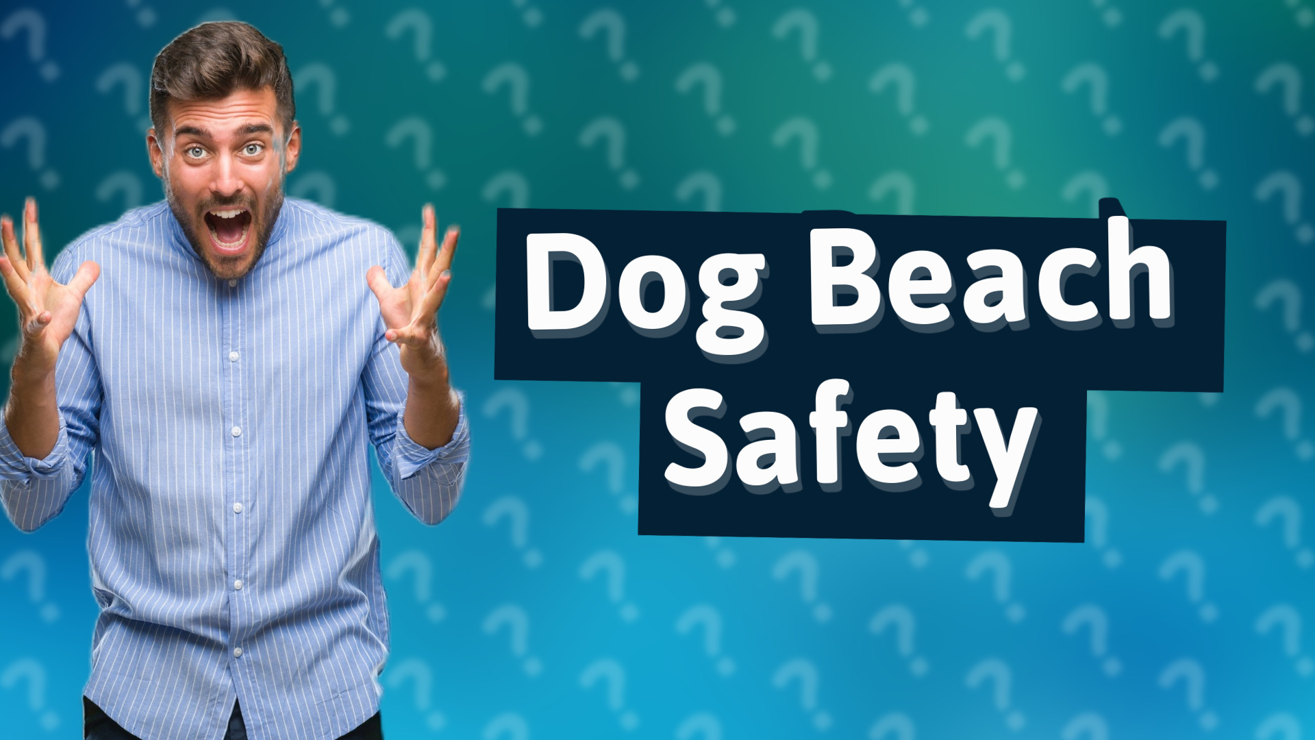 Dog Beach Safety
