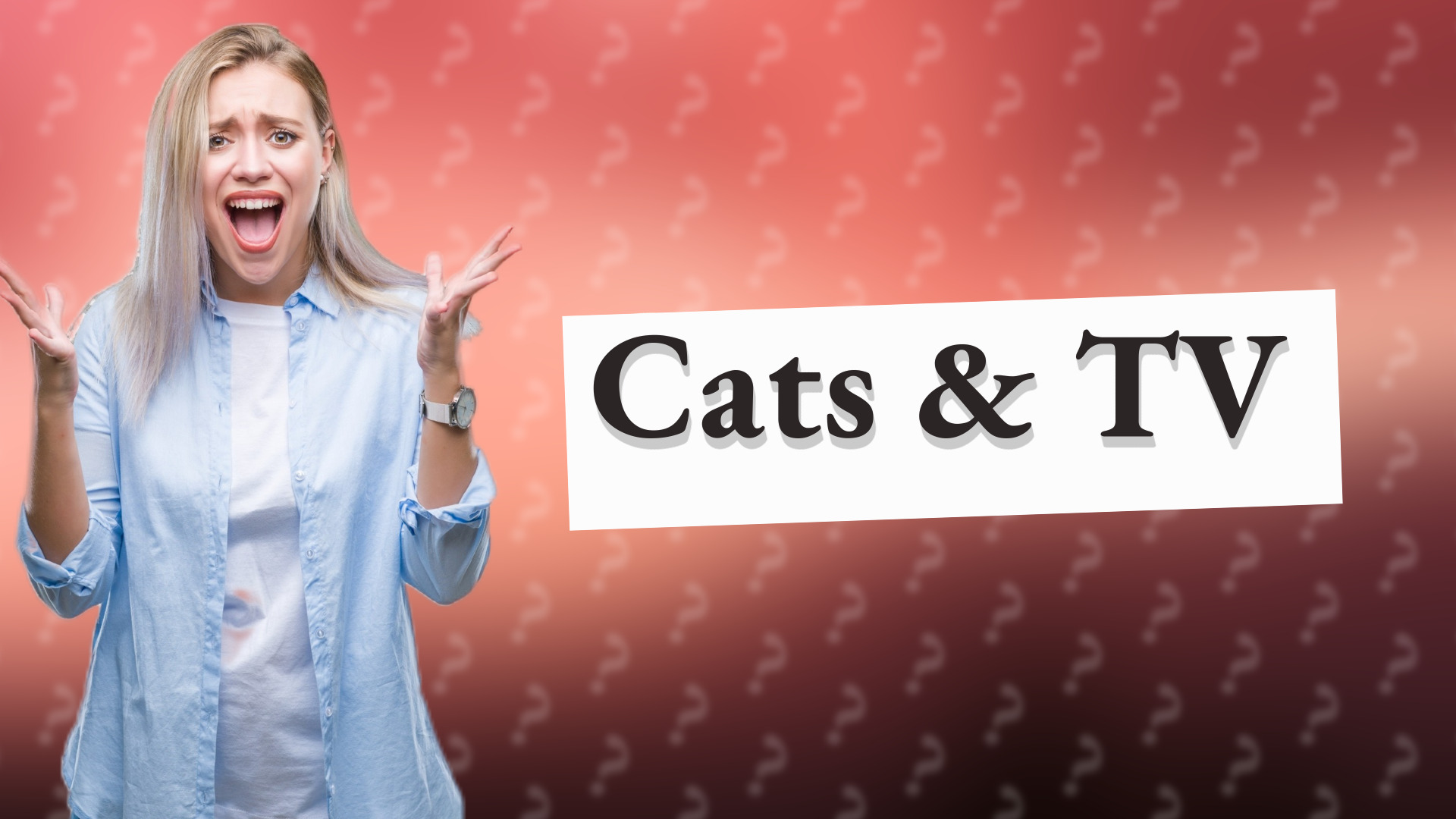Cats & TV
