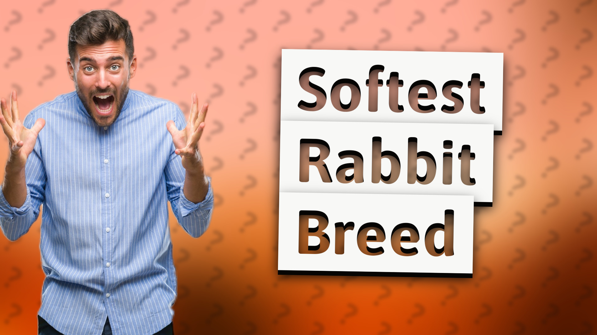 Softest Rabbit Breed