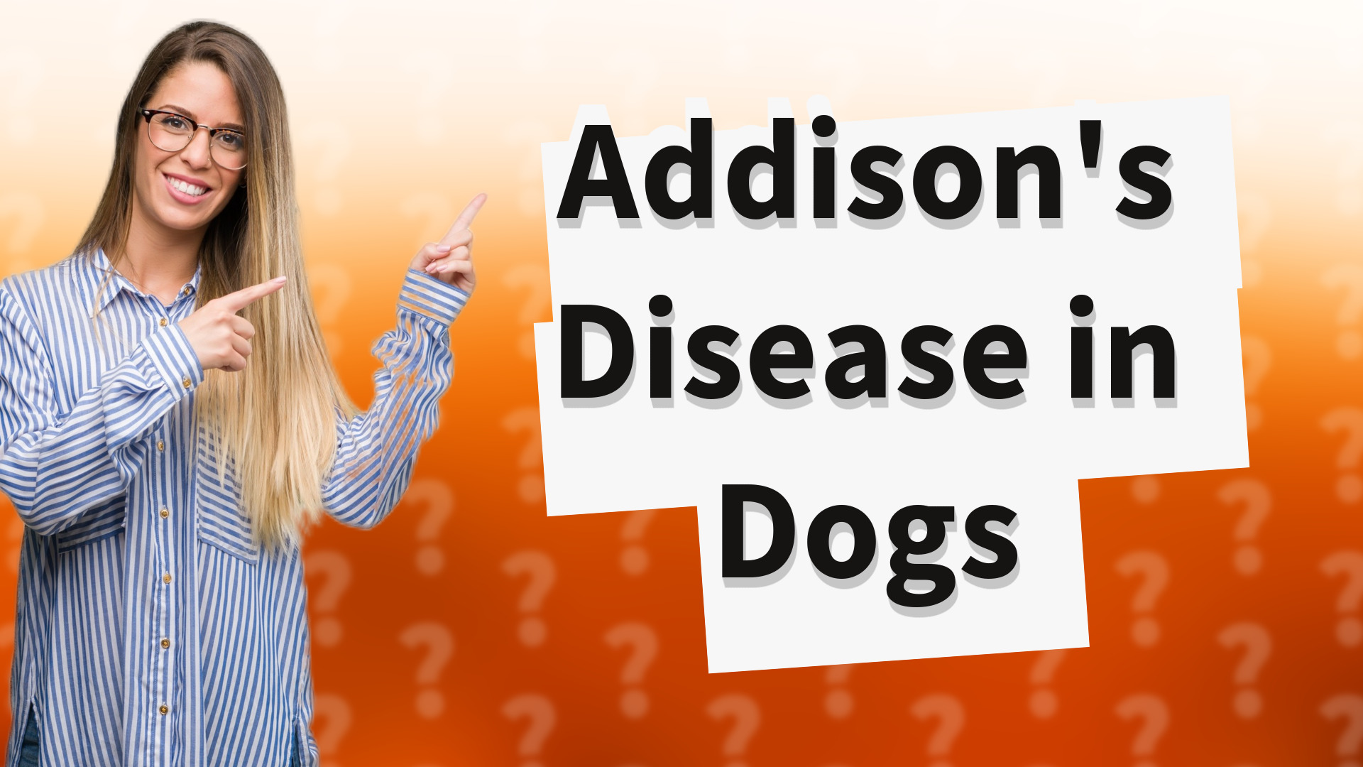 Addison's Disease in Dogs
