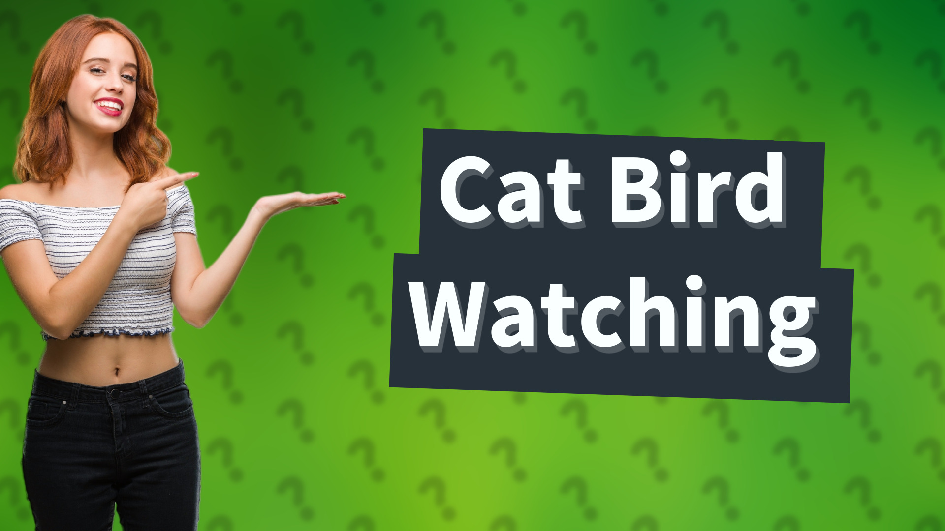 Cat Bird Watching