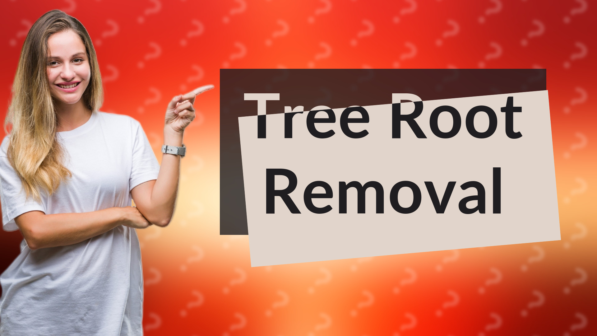 Tree Root Removal