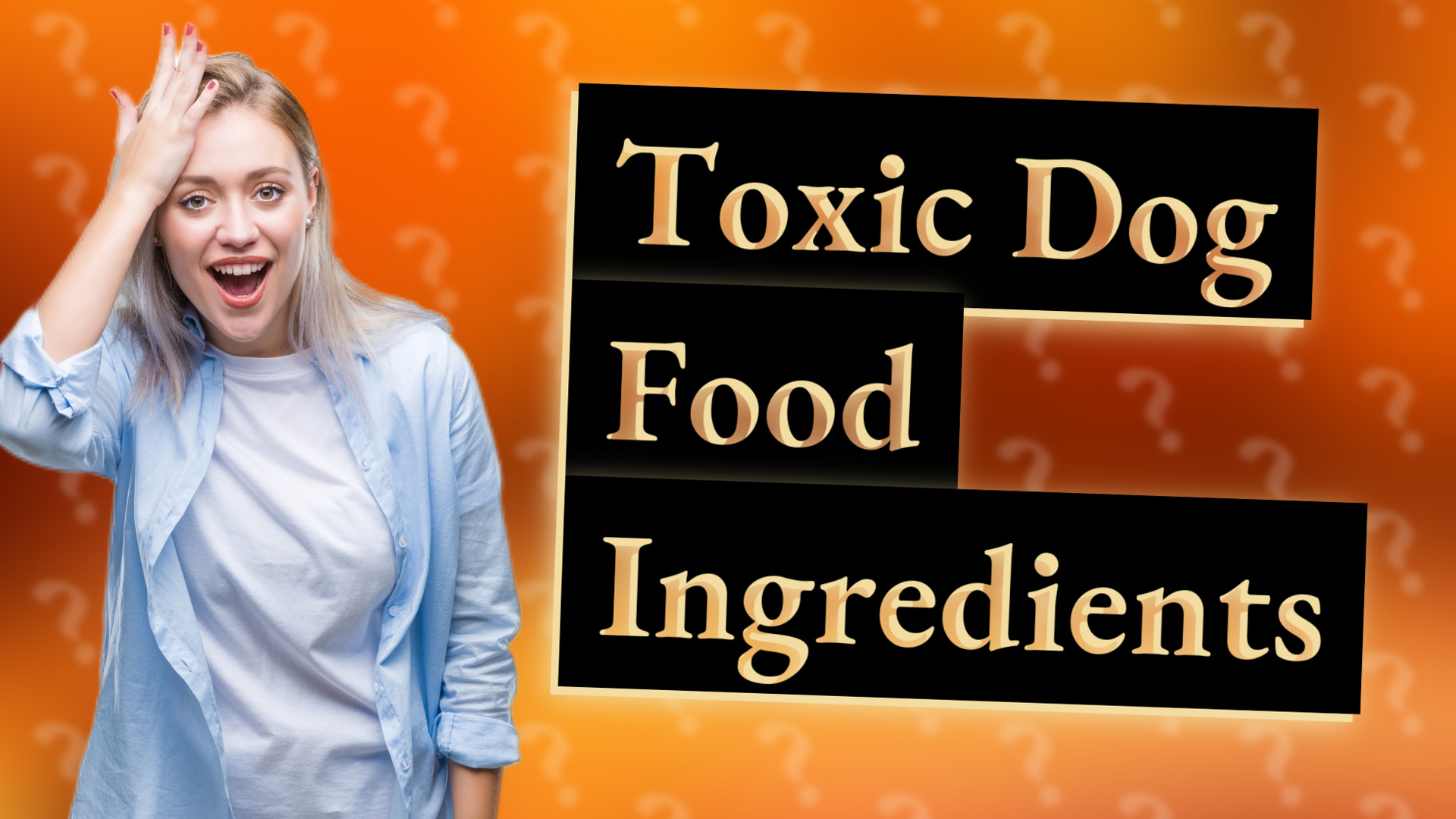 Toxic Dog Food Ingredients