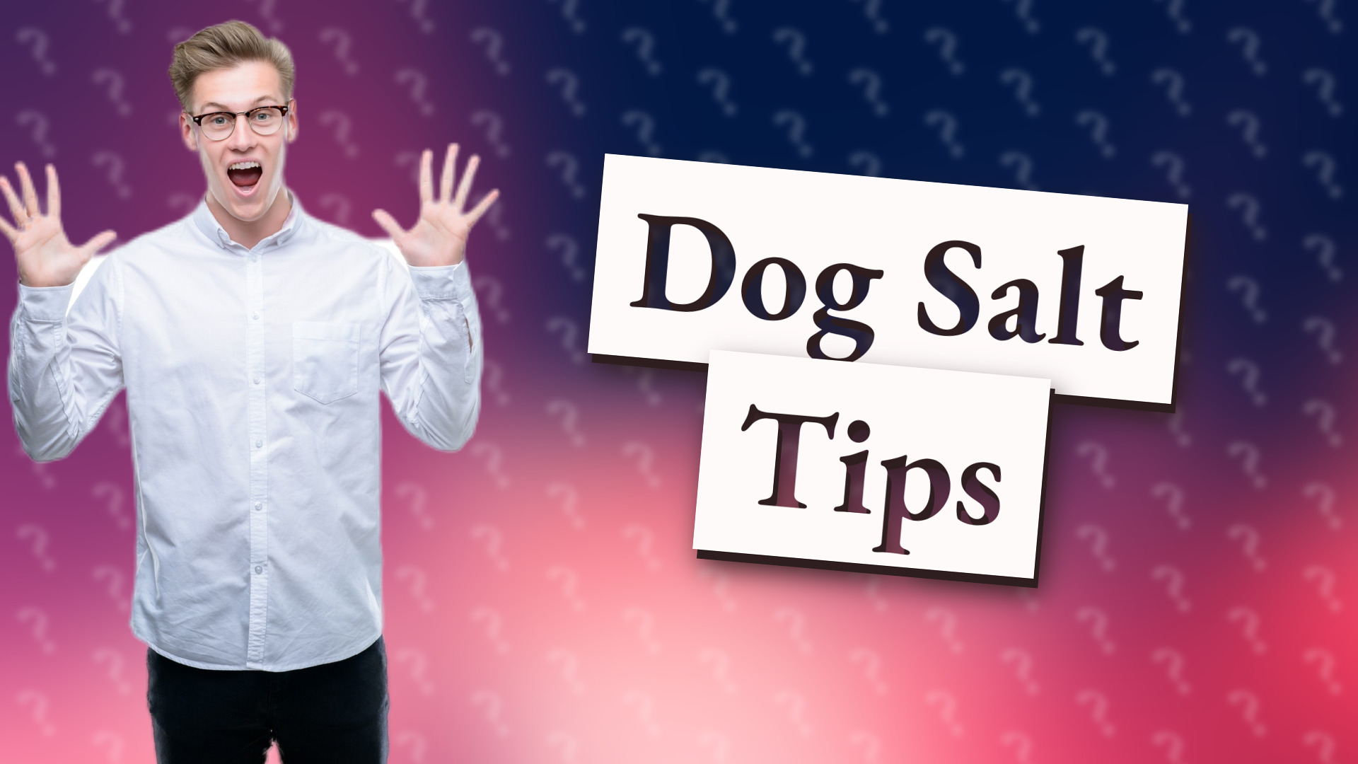 Dog Salt Tips