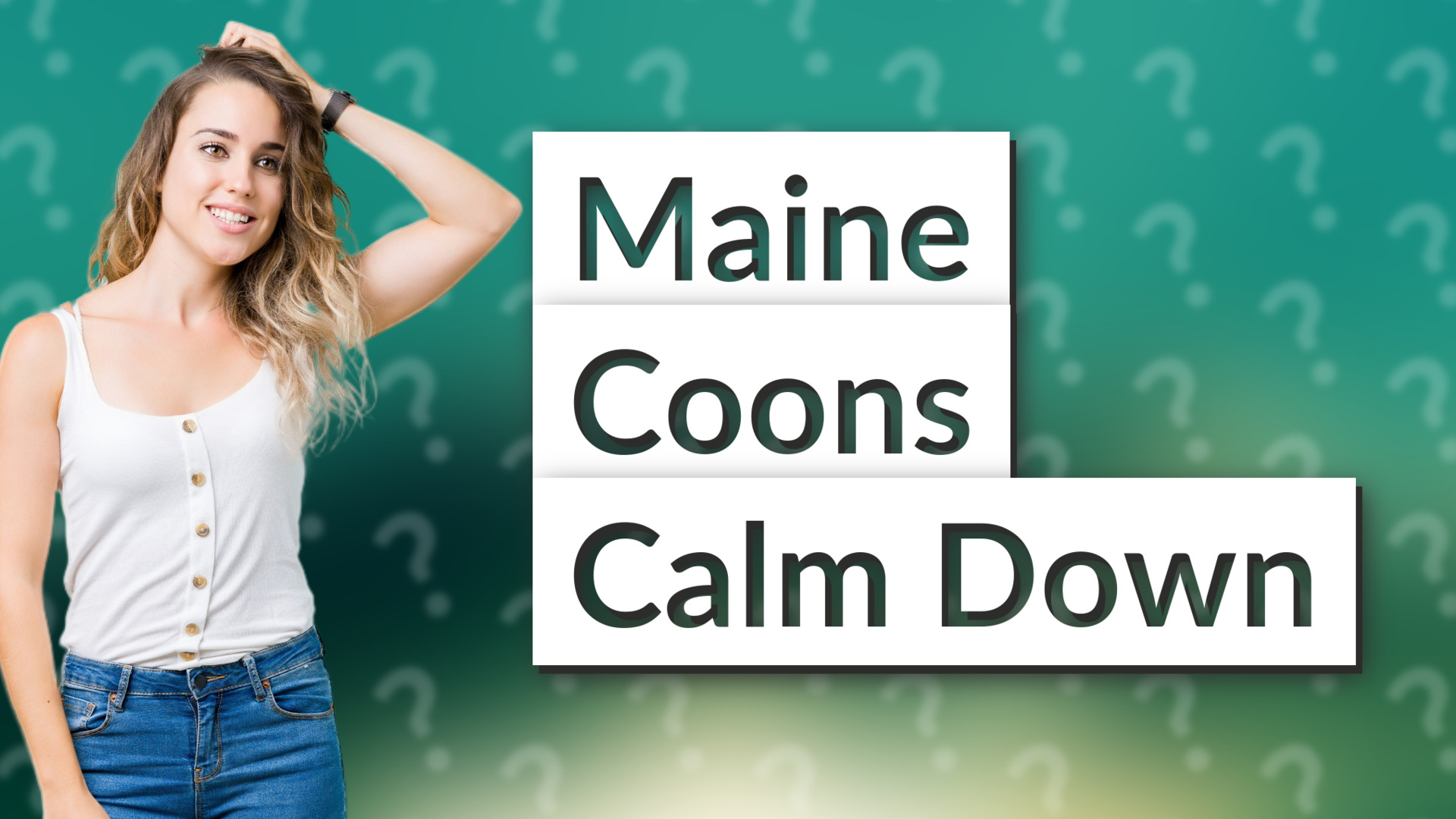 Maine Coons Calm Down