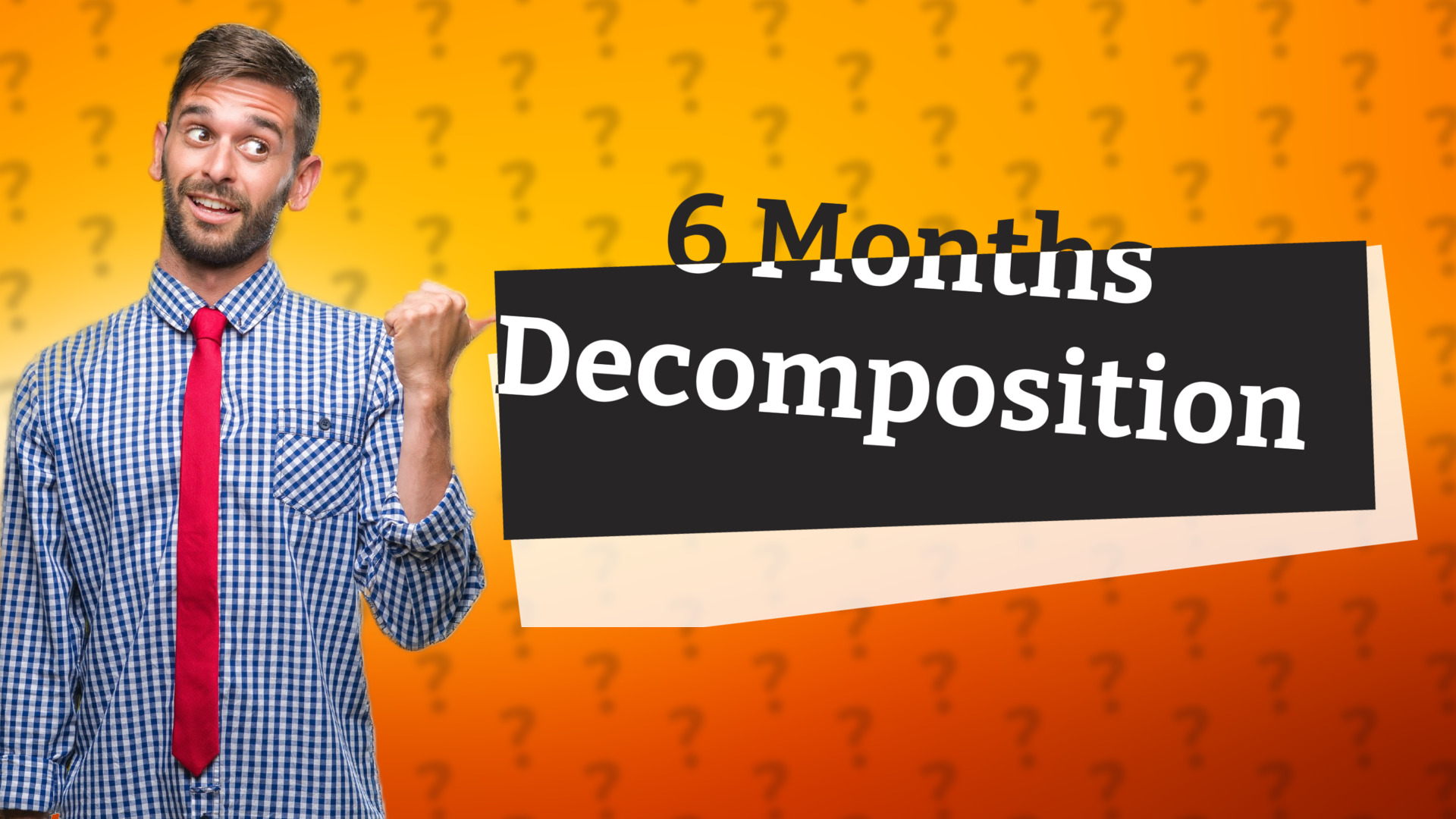 6 Months Decomposition
