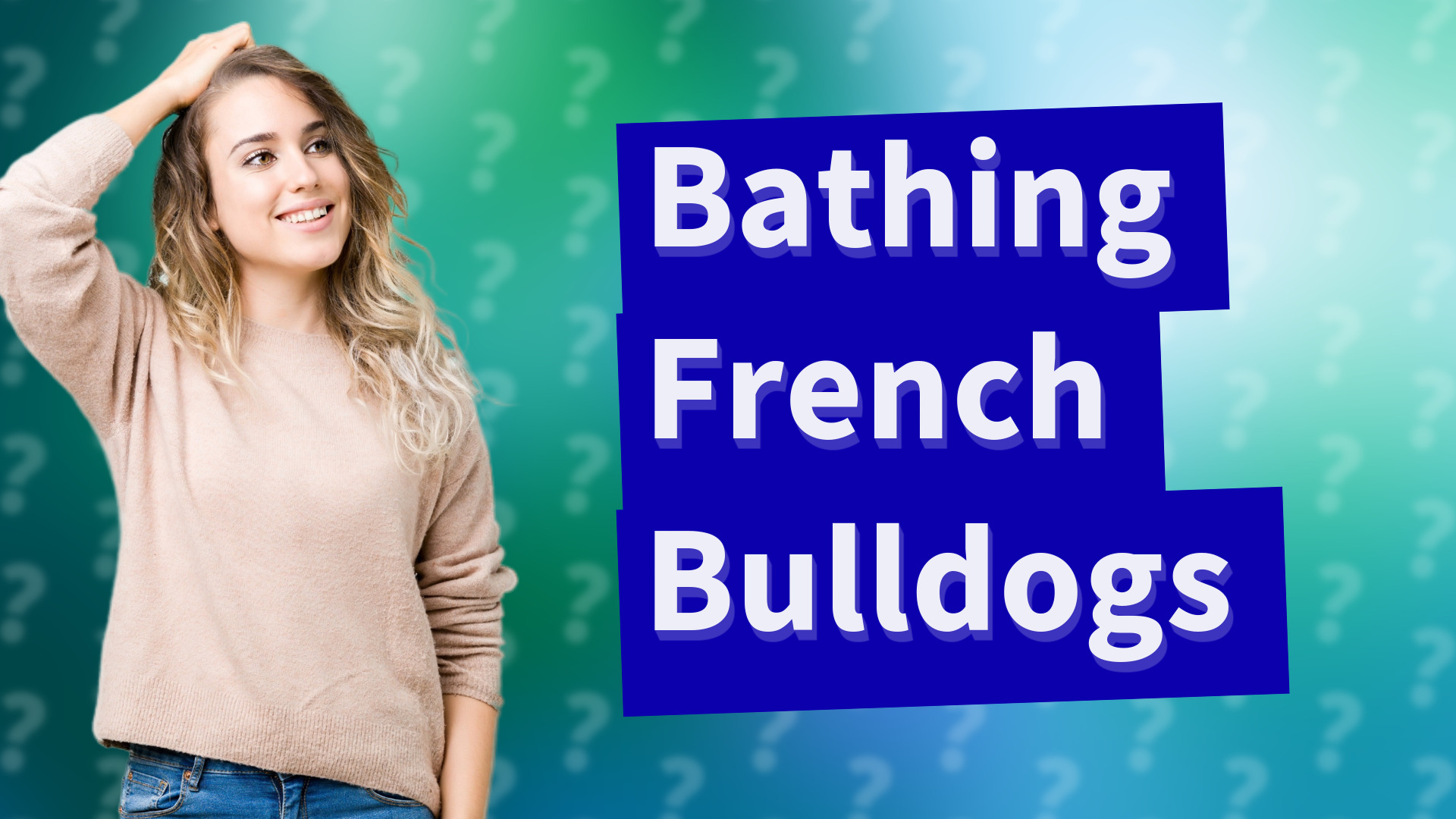 Bathing French Bulldogs